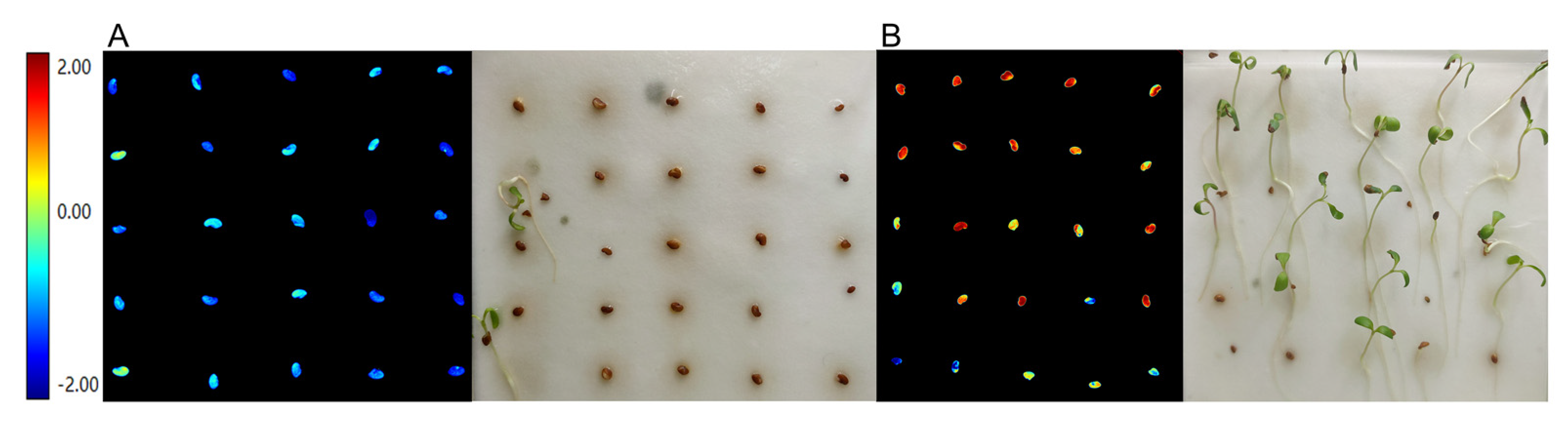 Sensors 21 05804 g007