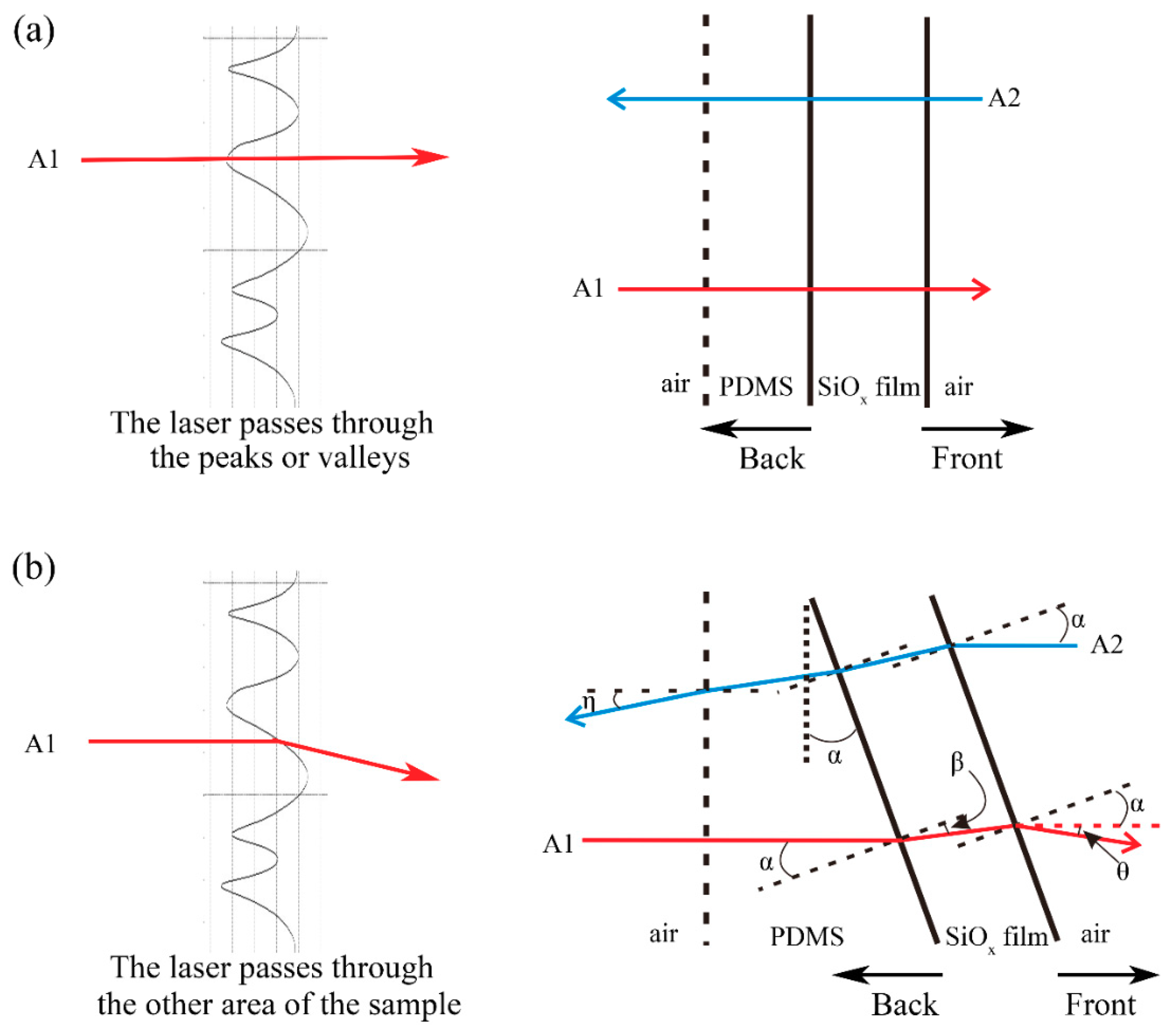 Sensors 21 05820 g005