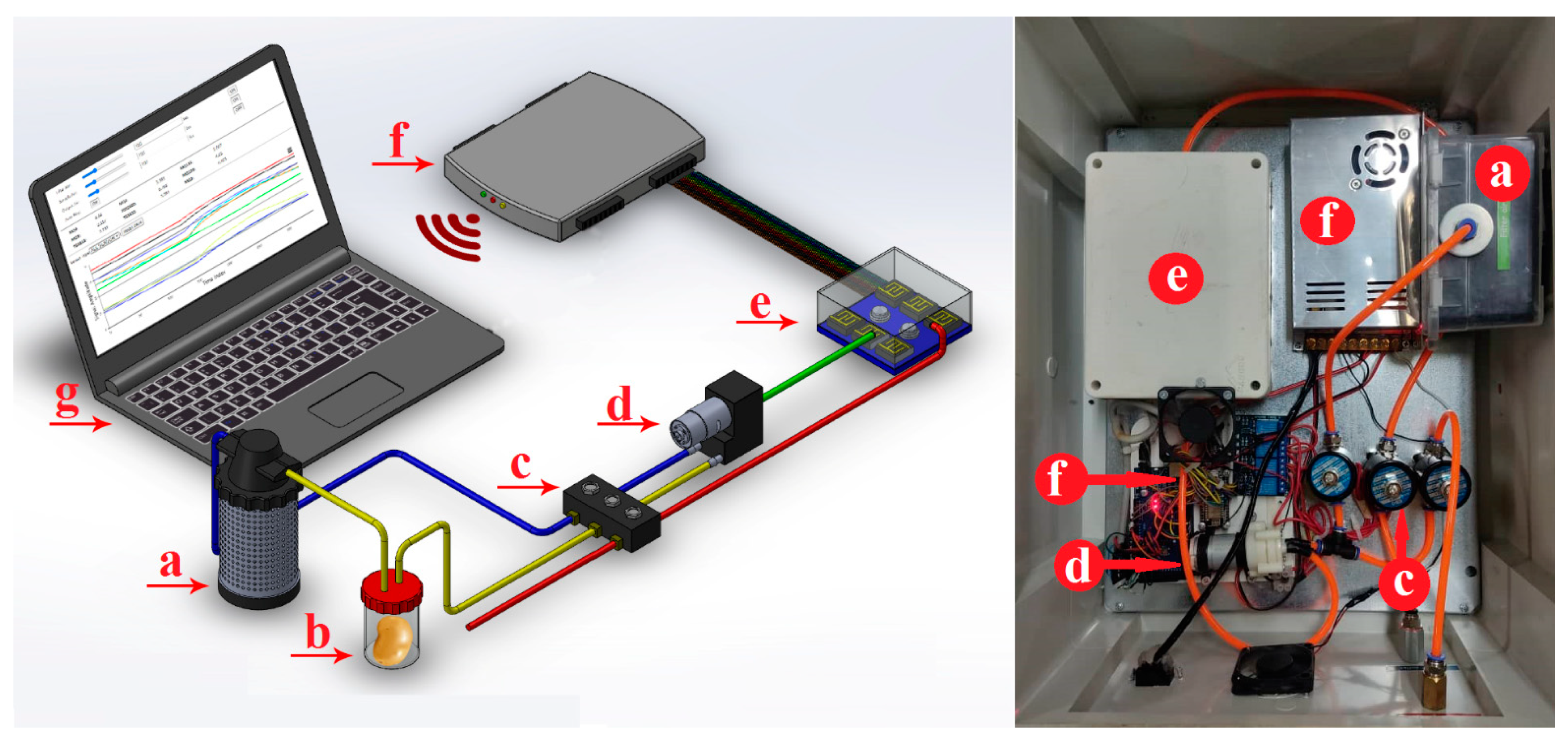 Sensors 21 05836 g001 Sensors 21 05836 g001