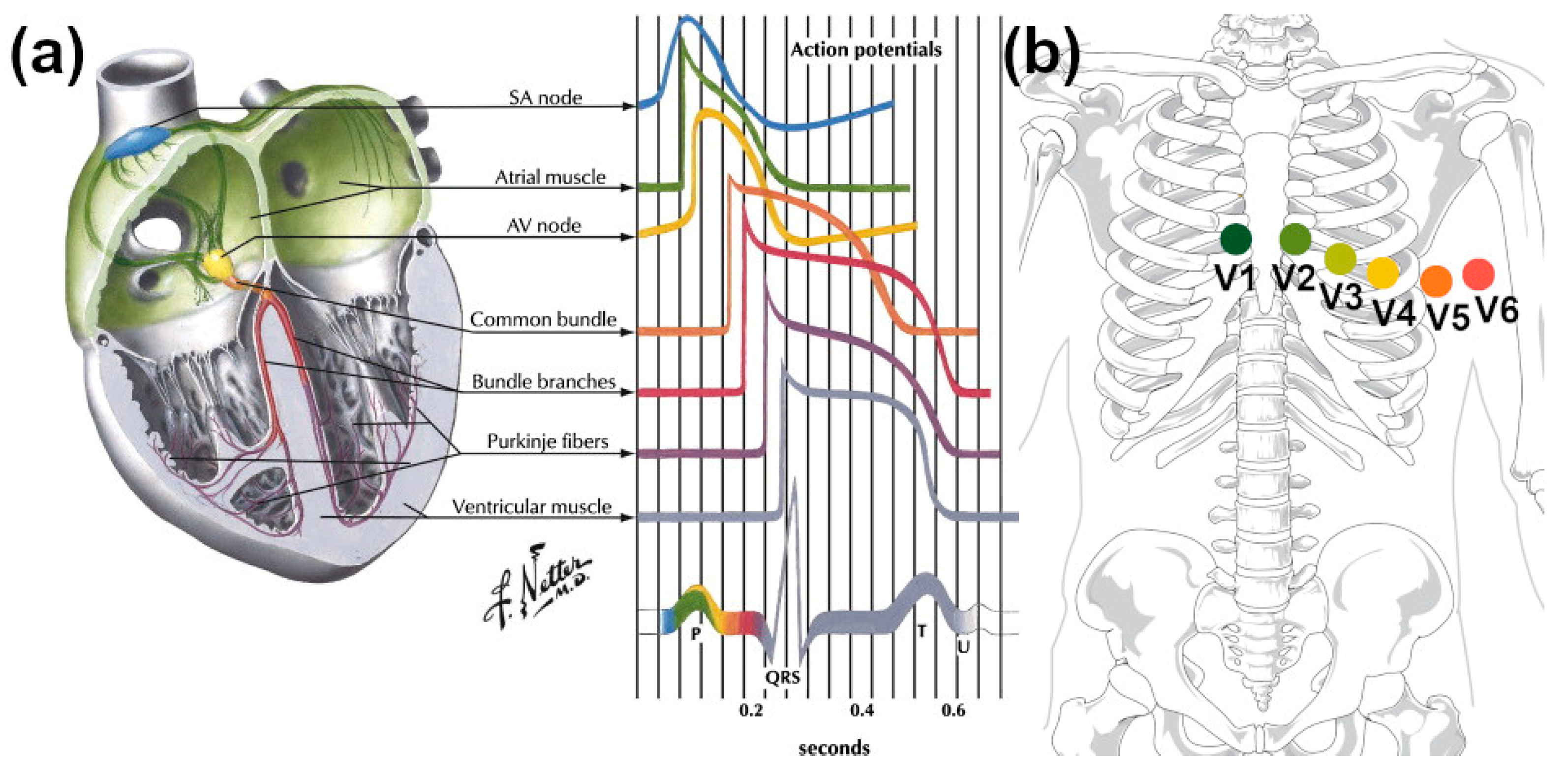 Sensors 21 05847 g008