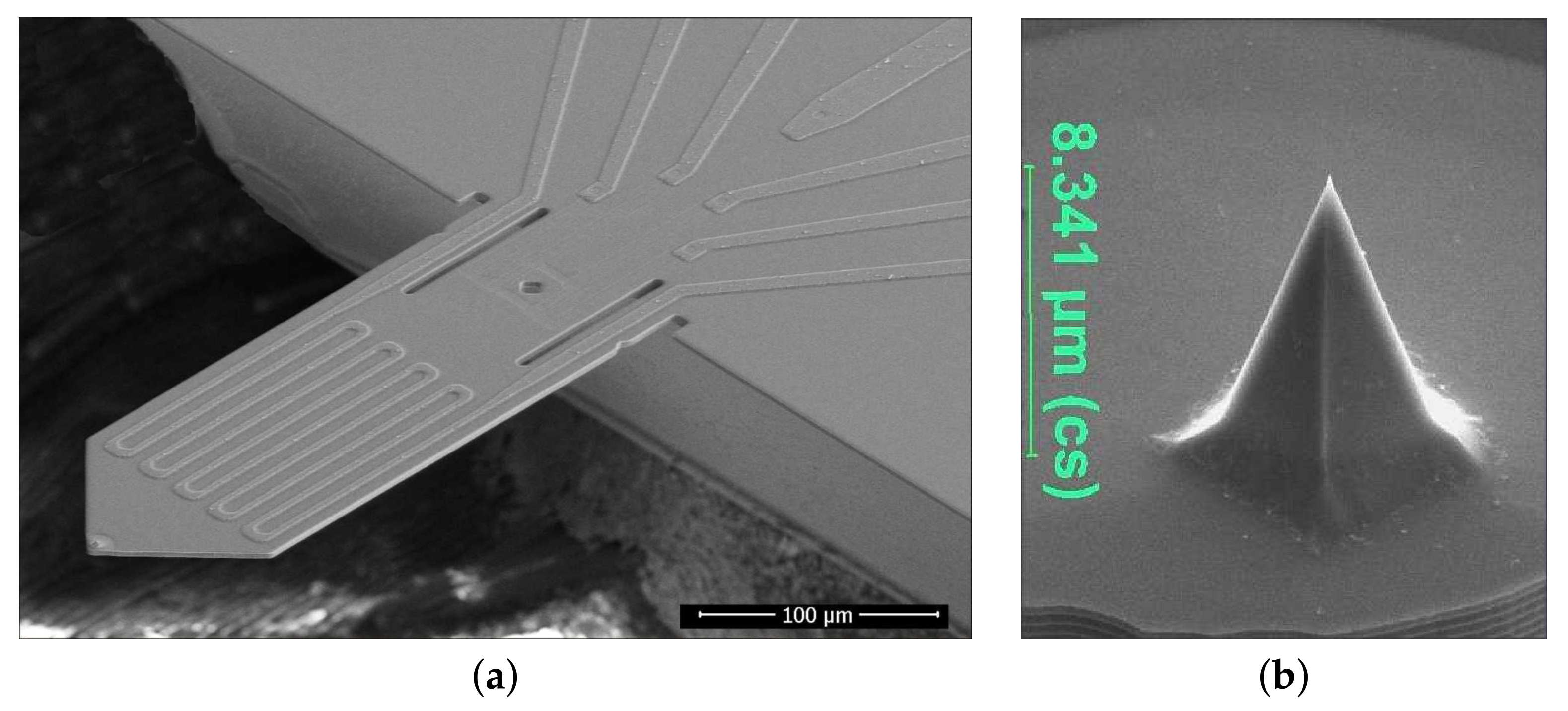 Sensors 21 05862 g001