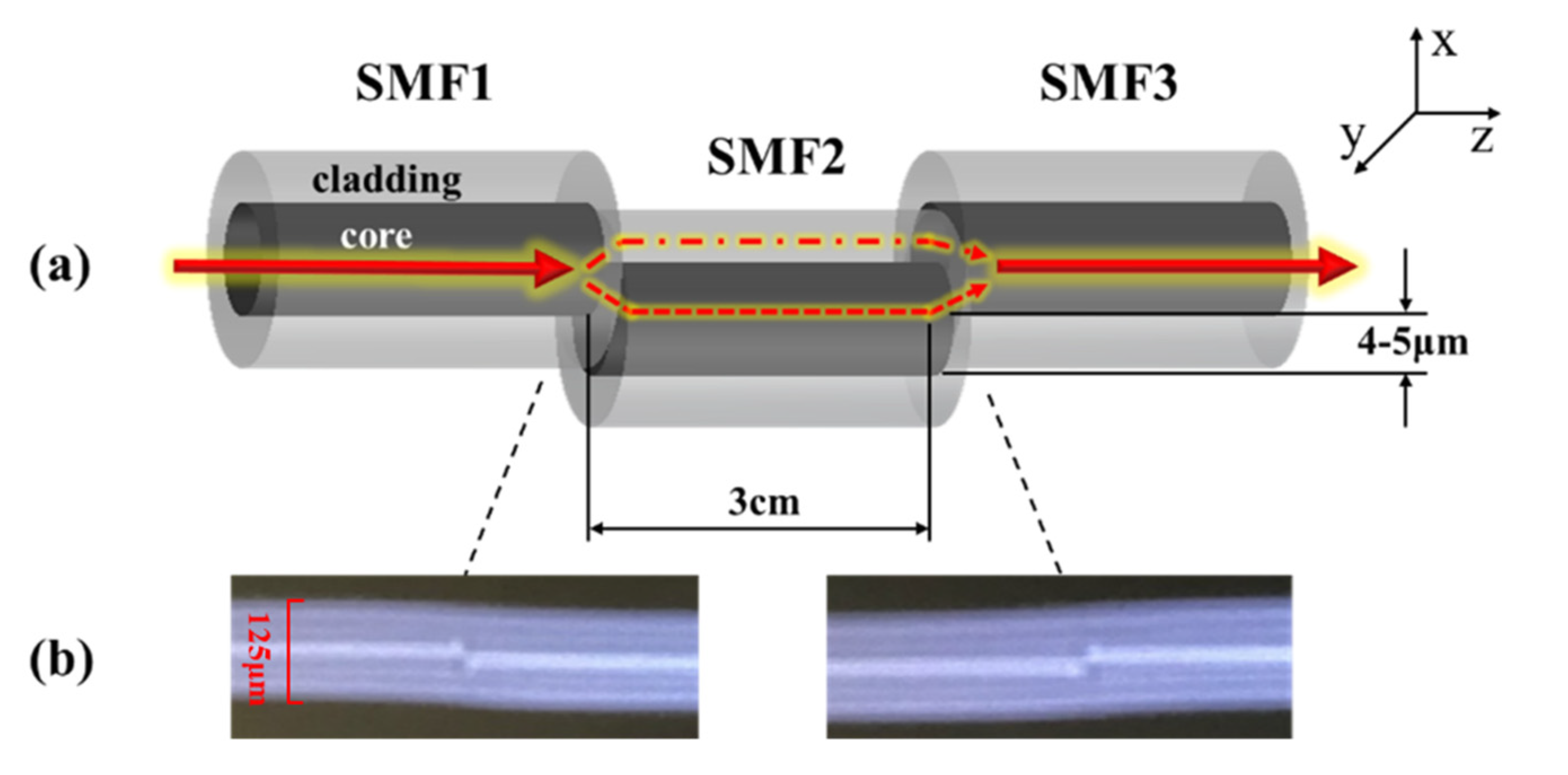 Sensors 21 05870 g002