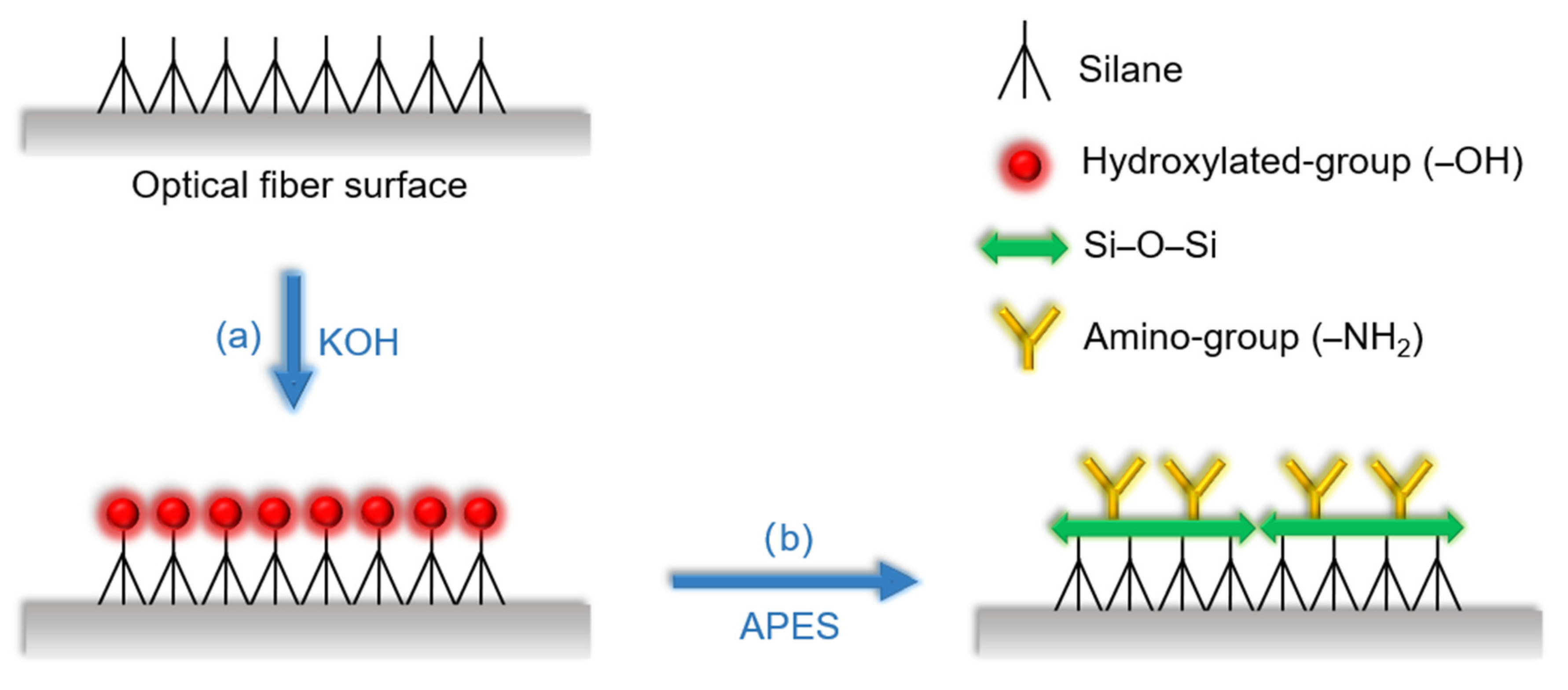 Sensors 21 05870 g003