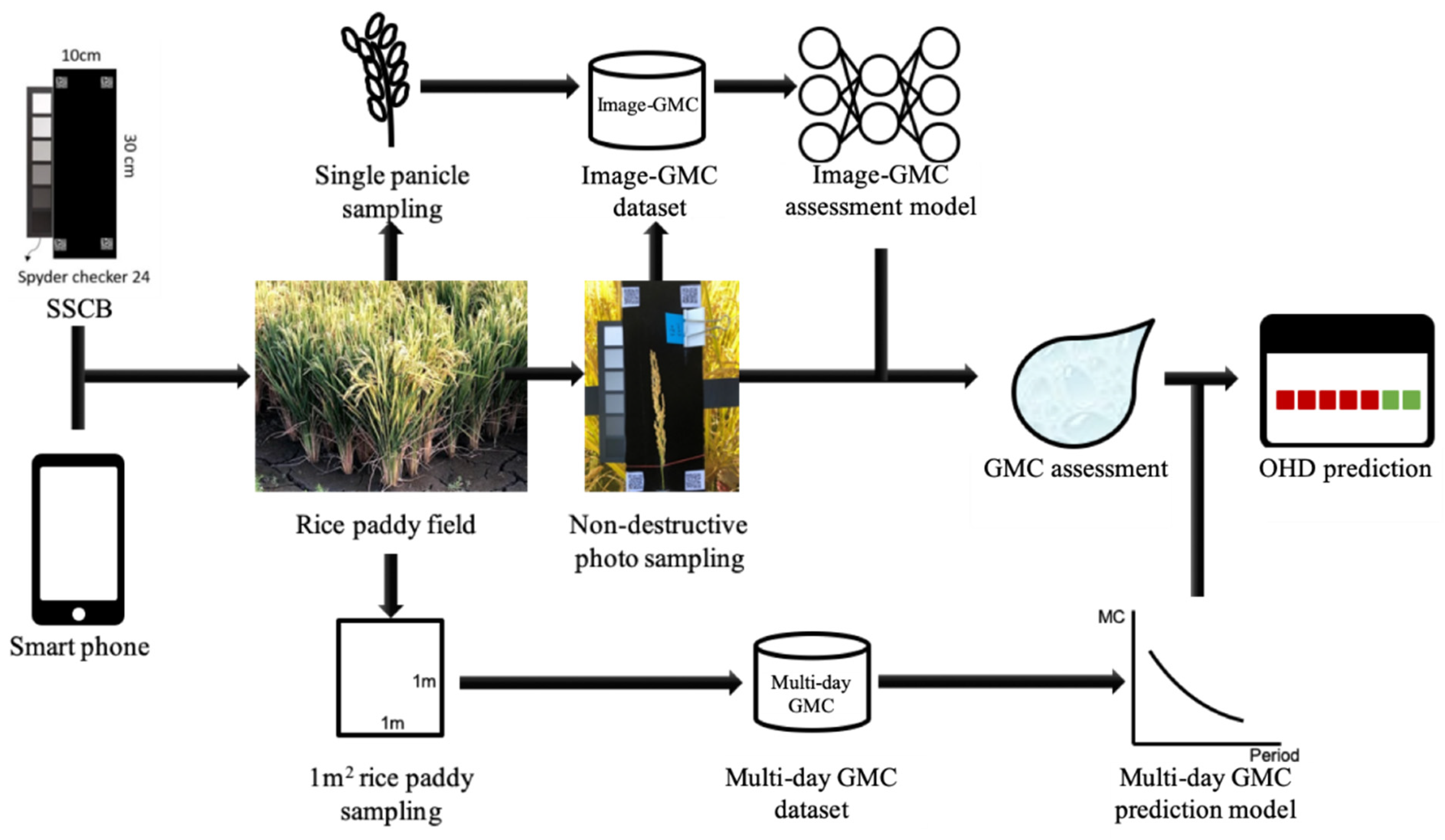 Sensors 21 05875 g001
