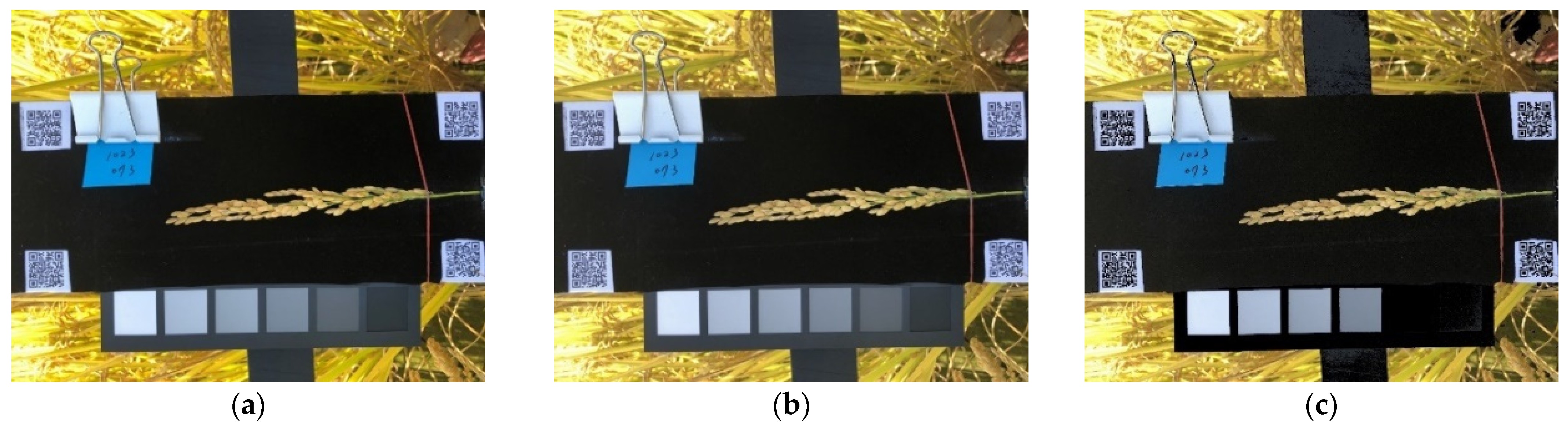 Sensors 21 05875 g007