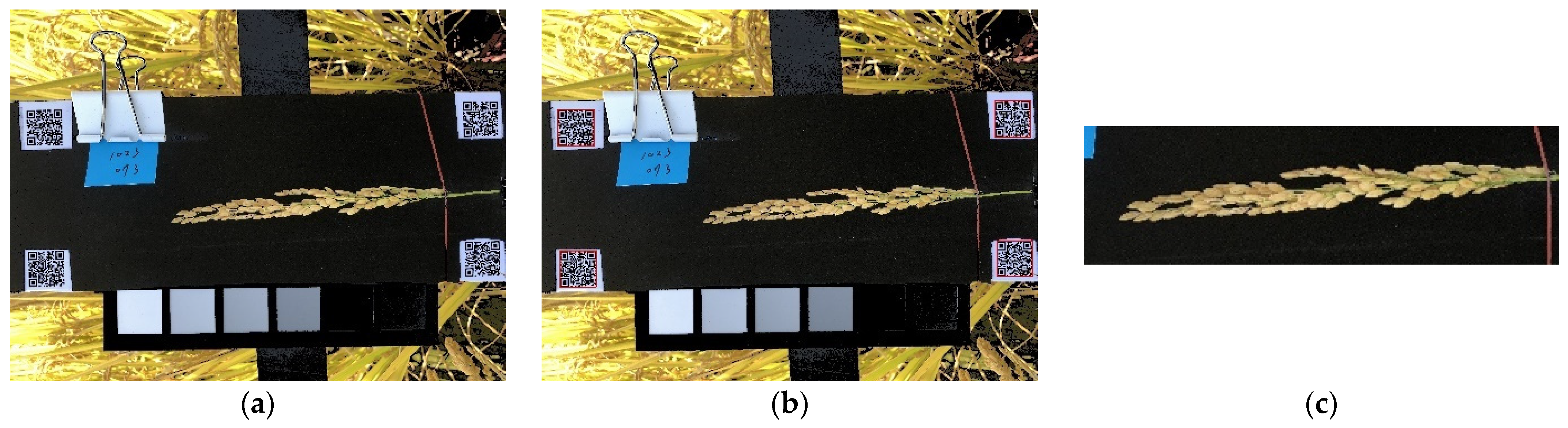 Sensors 21 05875 g008