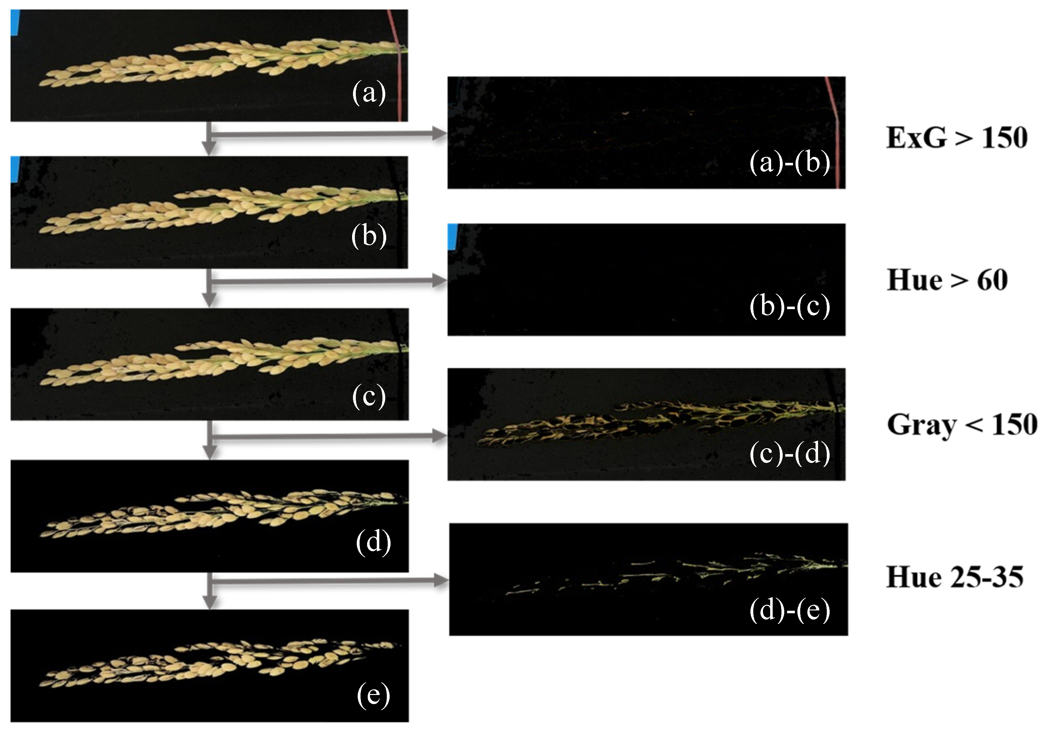 Sensors 21 05875 g009