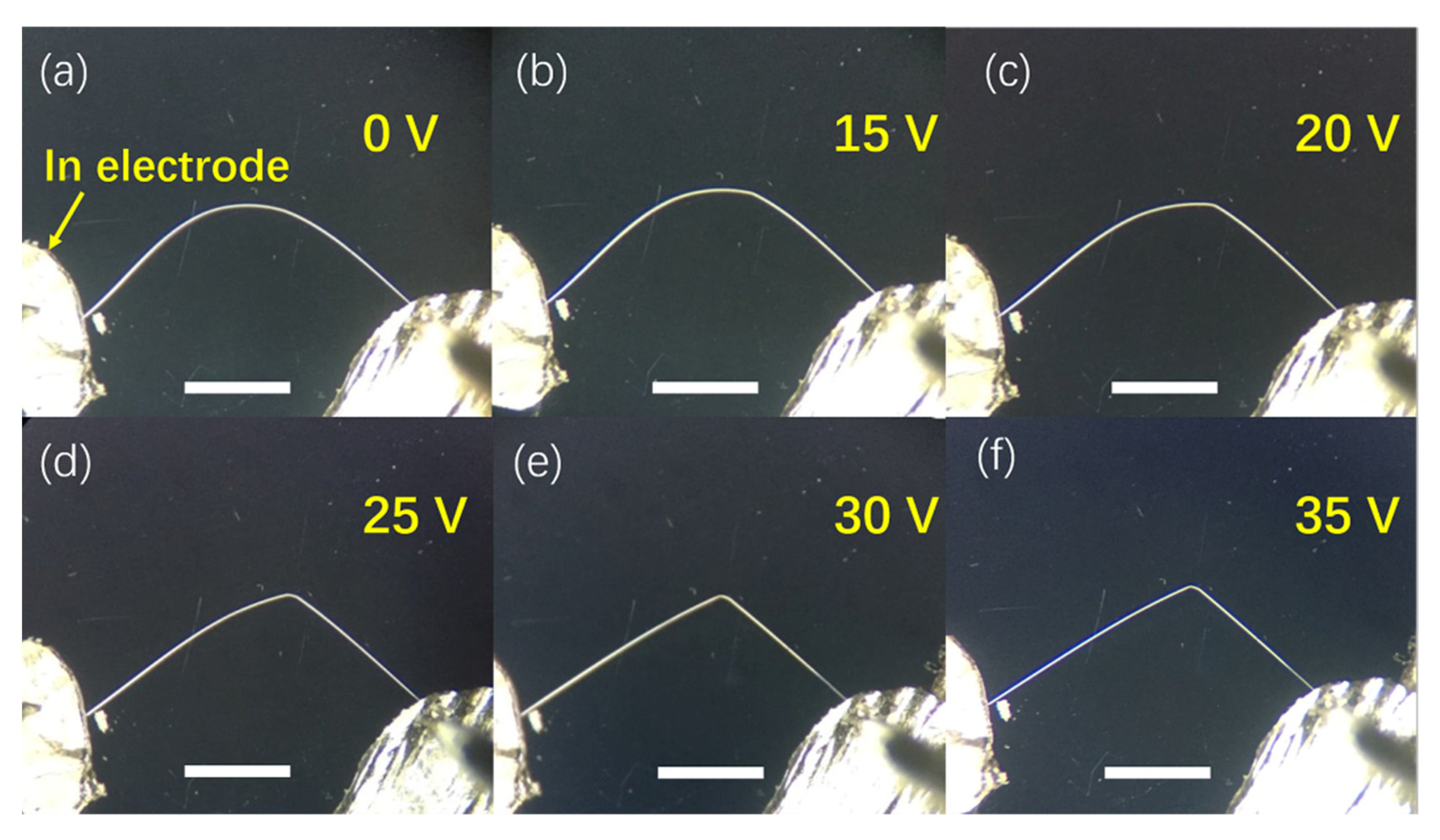 Sensors 21 05887 g001