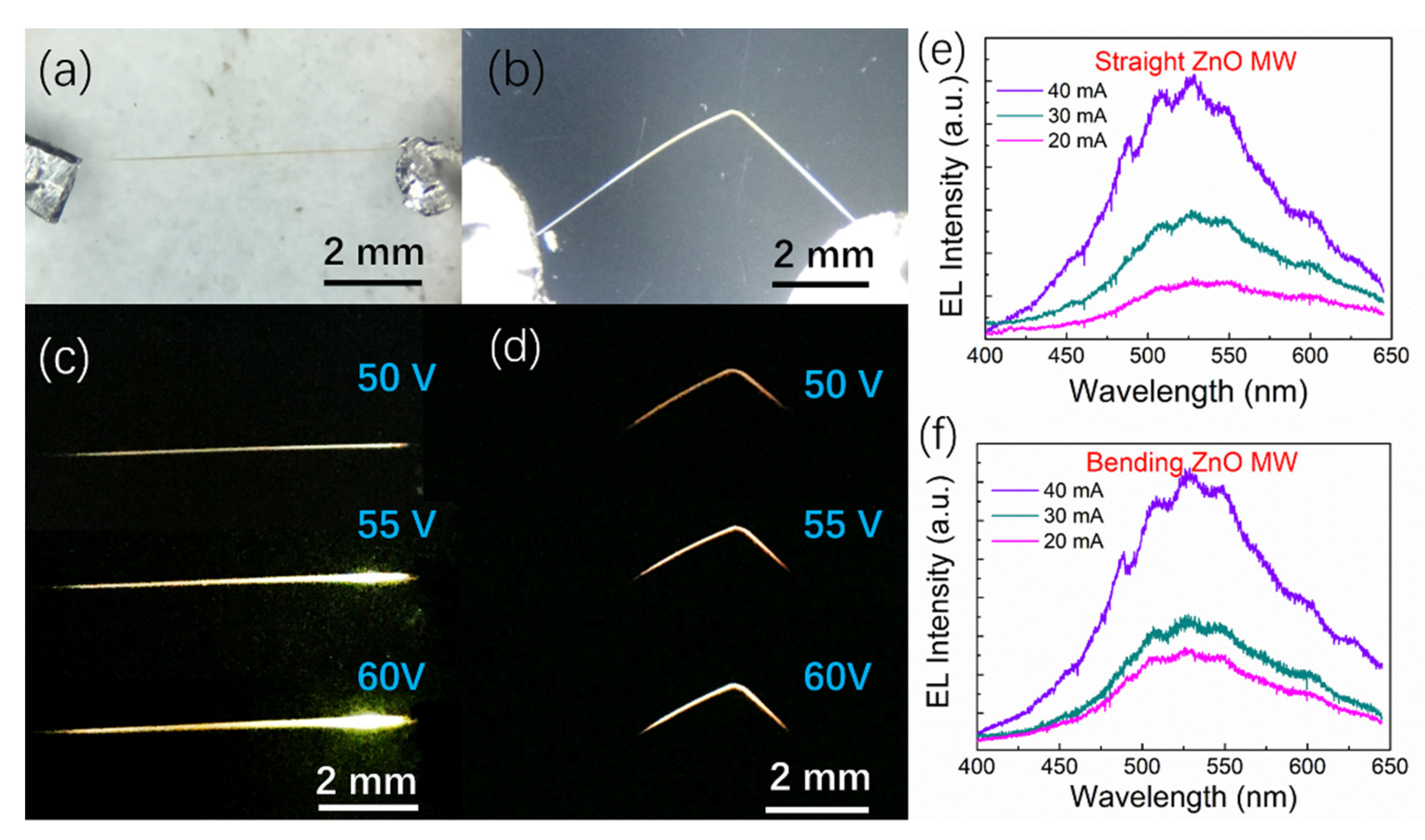Sensors 21 05887 g007