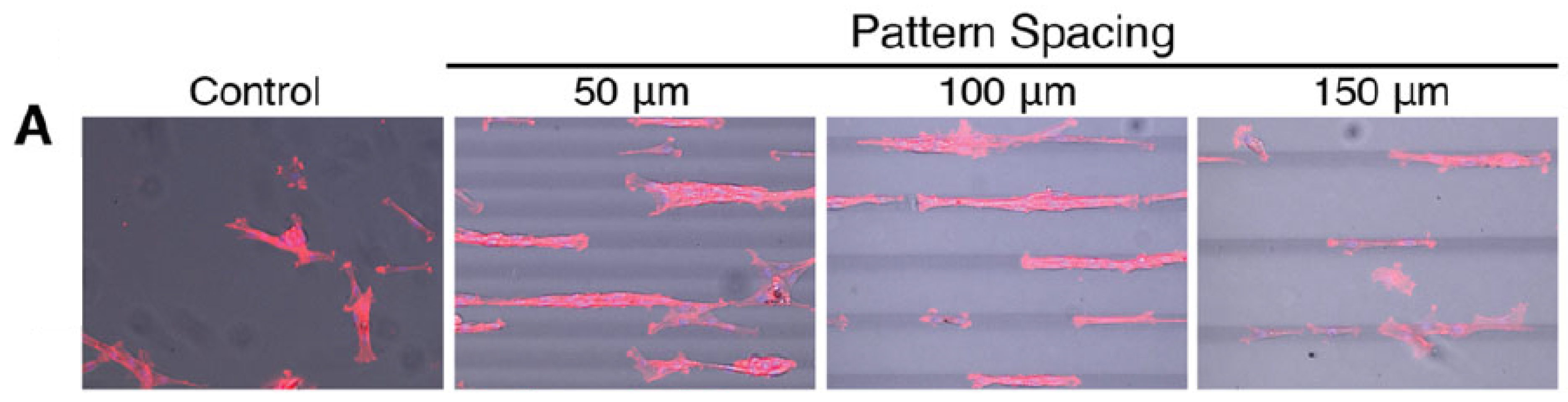 Sensors 21 05891 g003