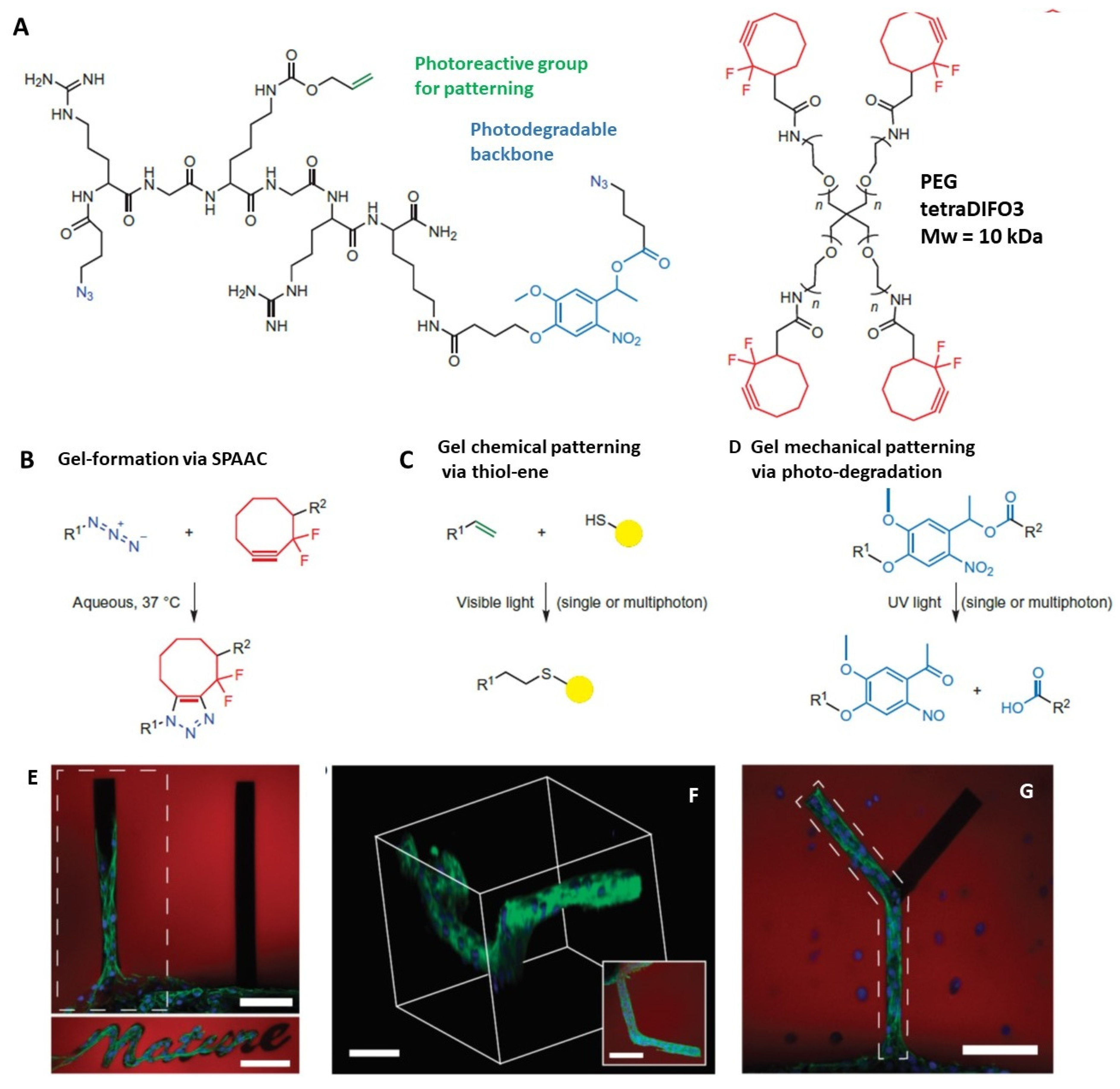Sensors 21 05891 g004
