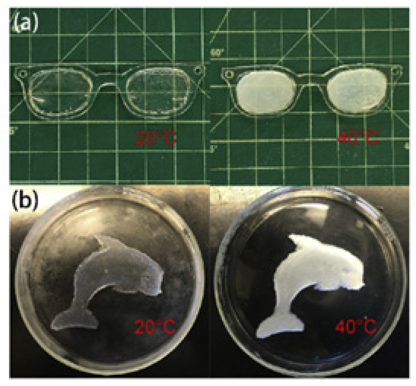 Sensors 21 05891 g007