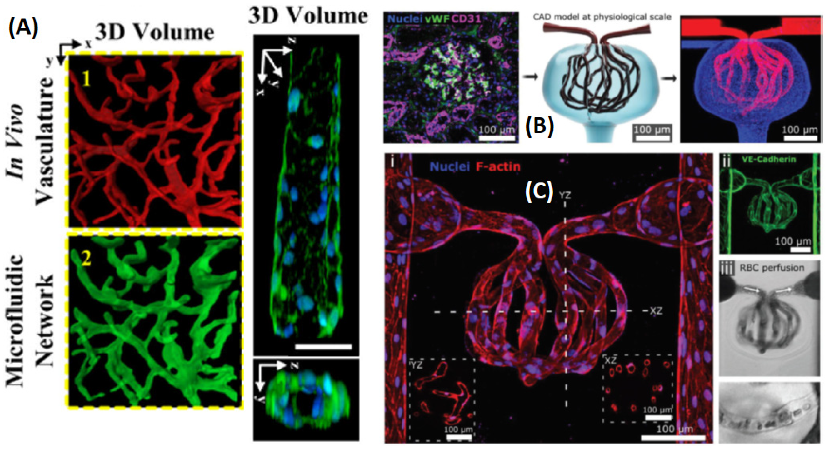 Sensors 21 05891 g009