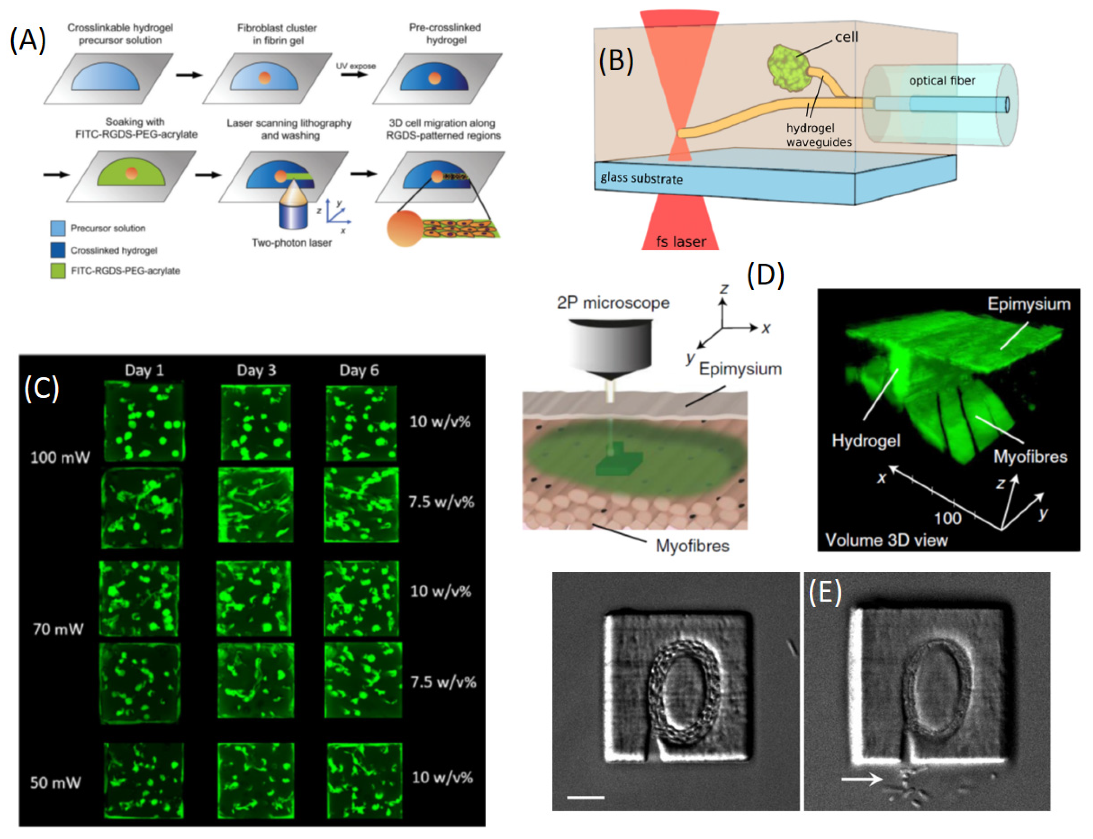 Sensors 21 05891 g010