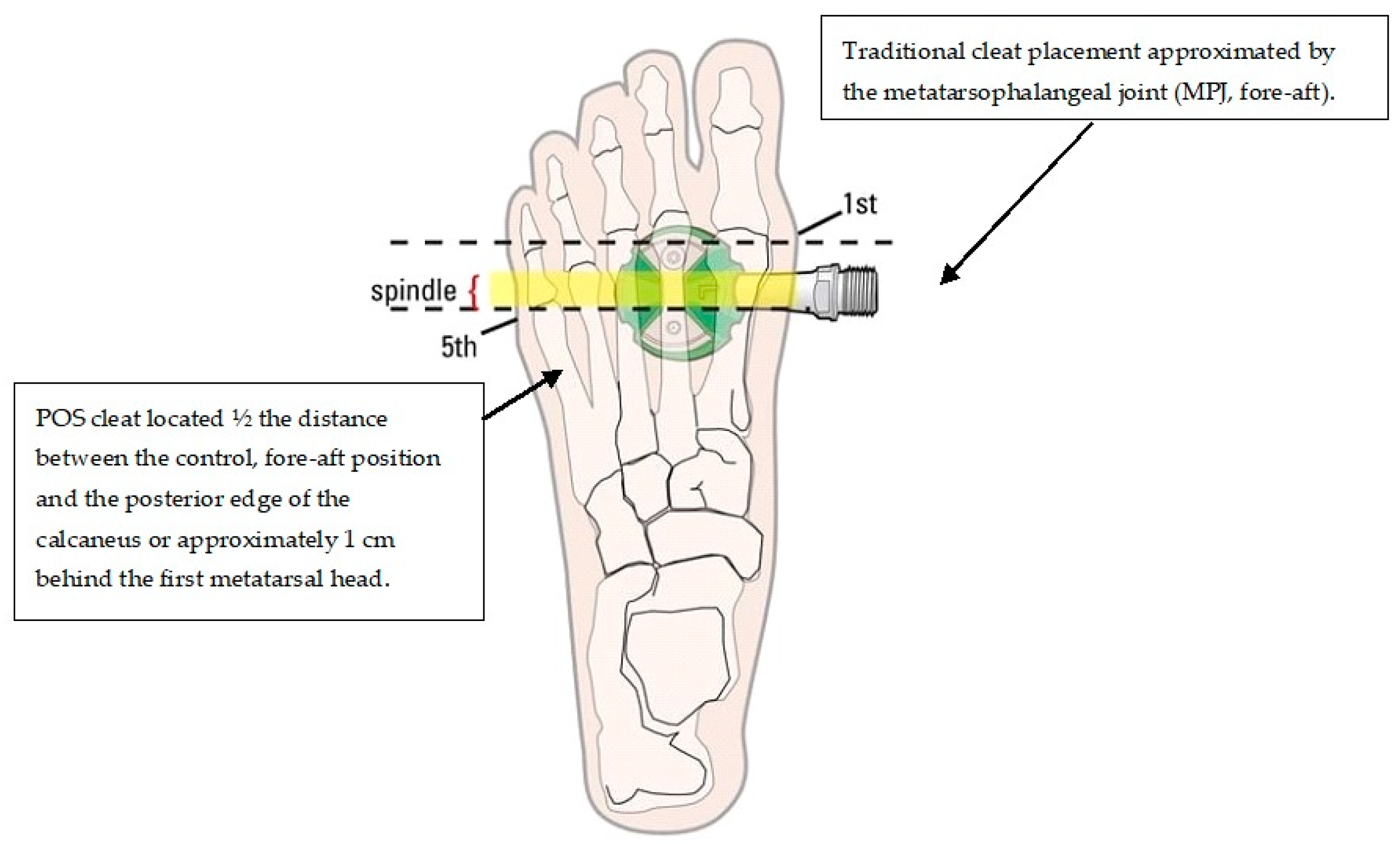 Sensors 21 05899 g001