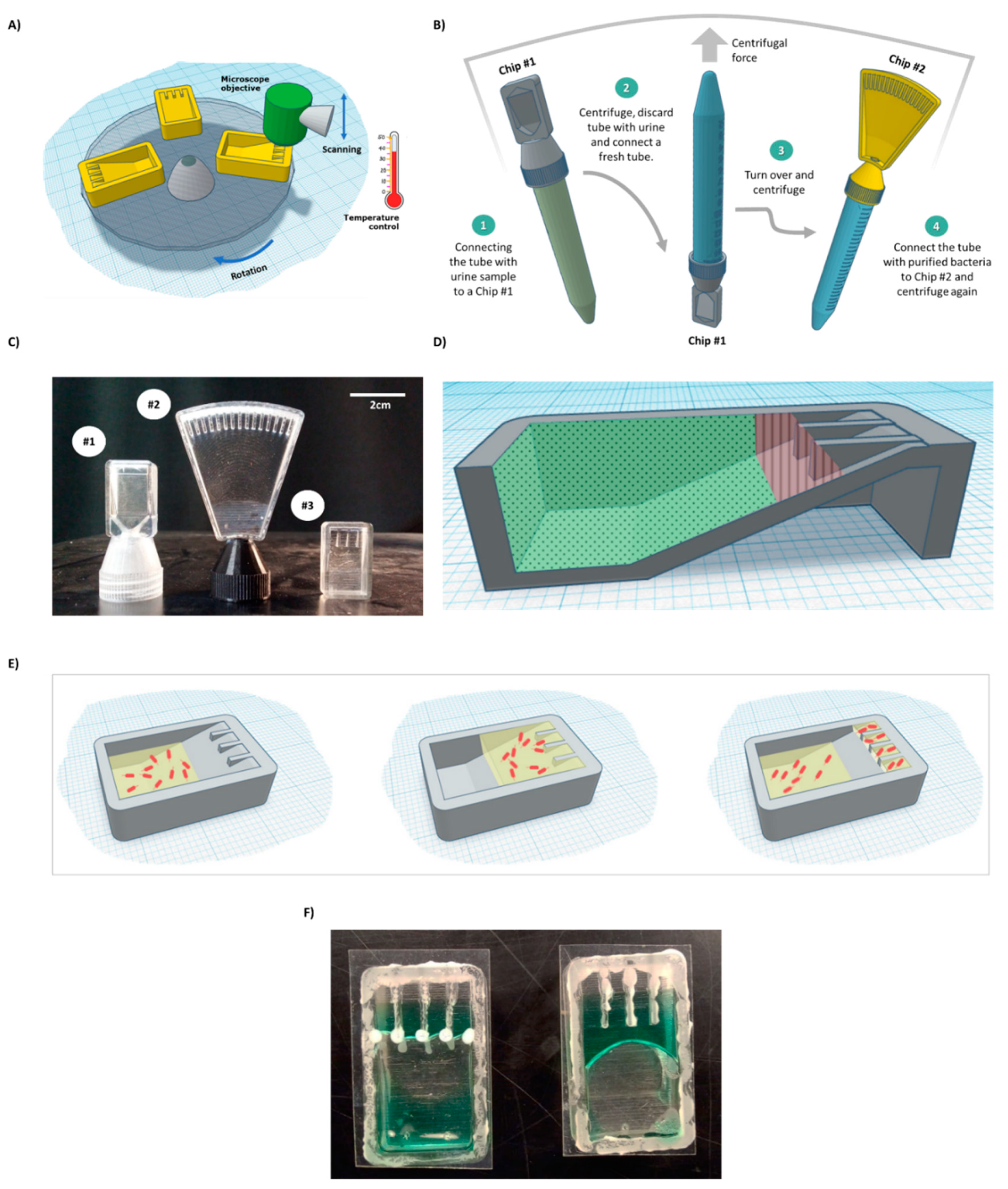 Sensors 21 05902 g001