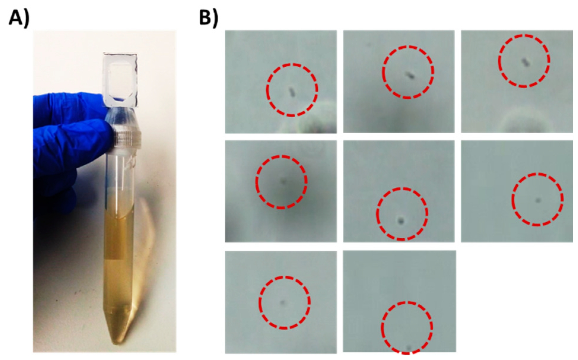 Sensors 21 05902 g002