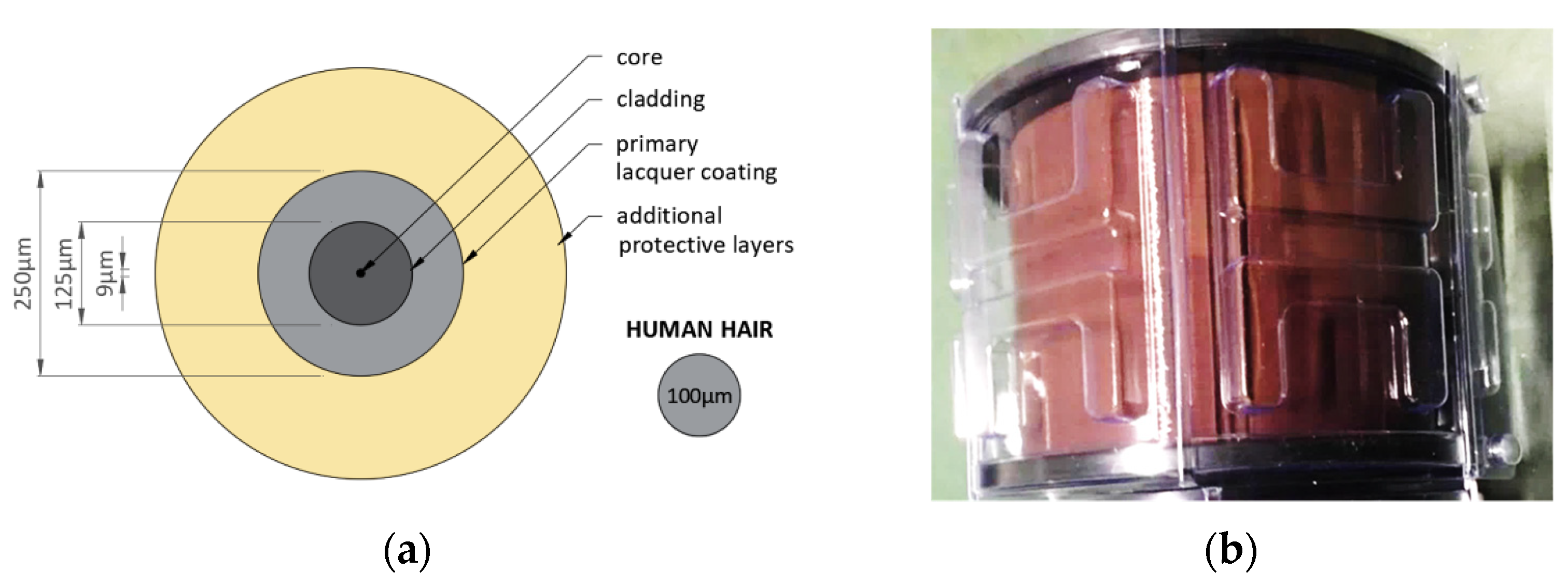 Sensors 21 05904 g006