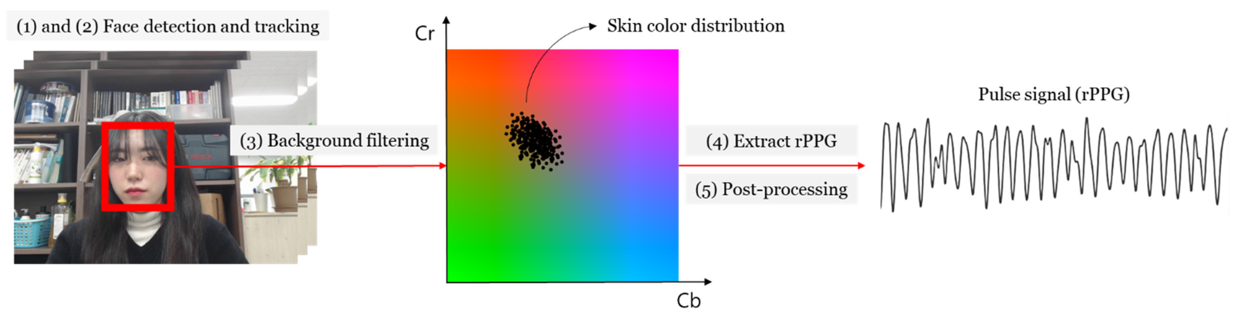 Sensors 21 05910 g004
