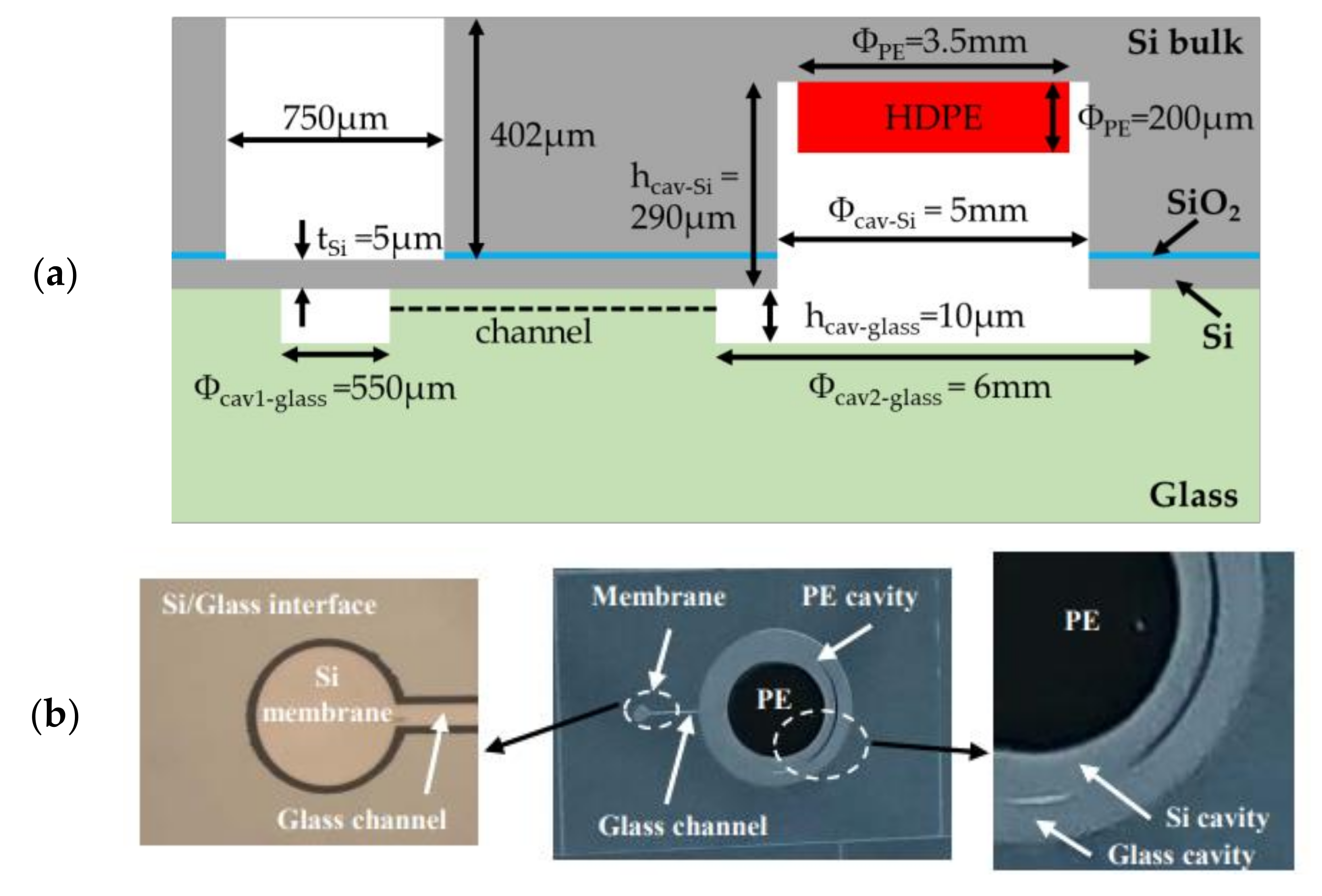 Sensors 21 05912 g016
