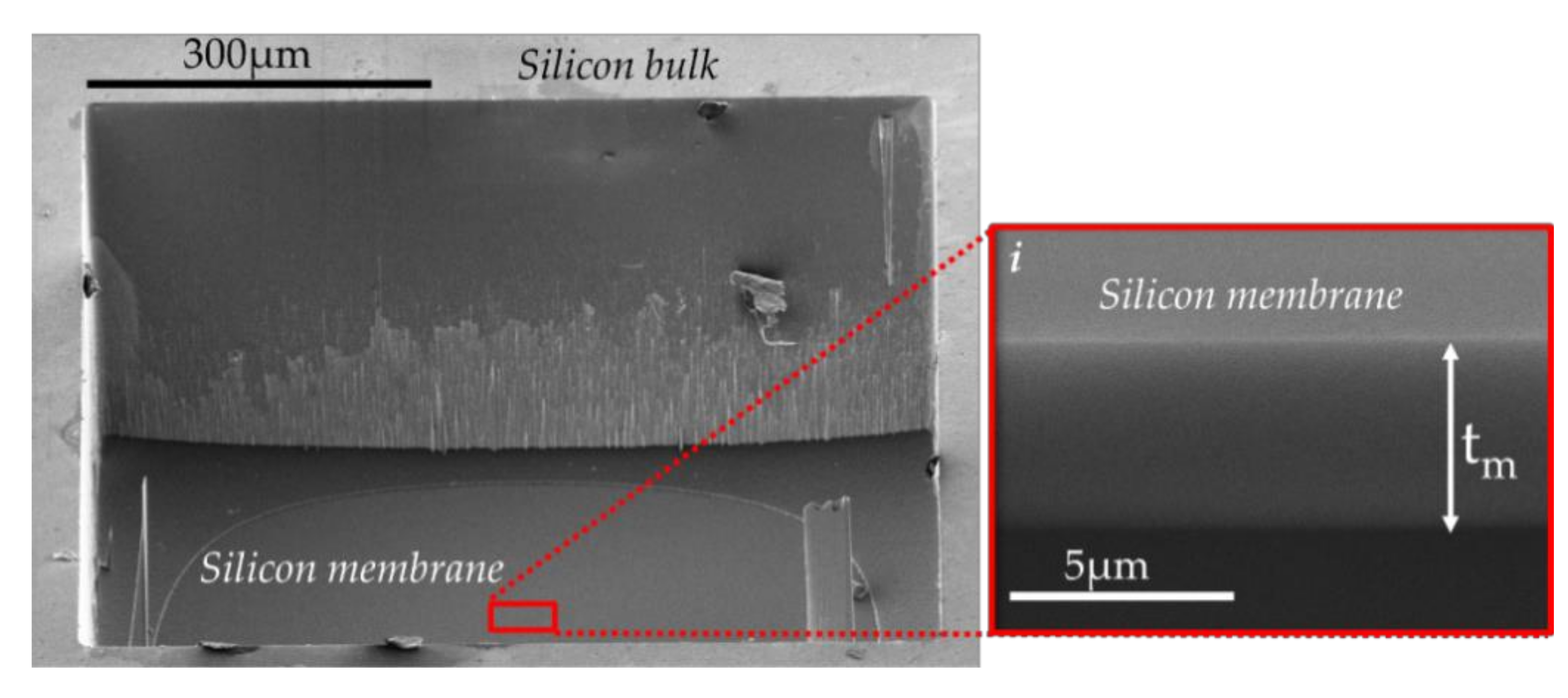 Sensors 21 05912 g017