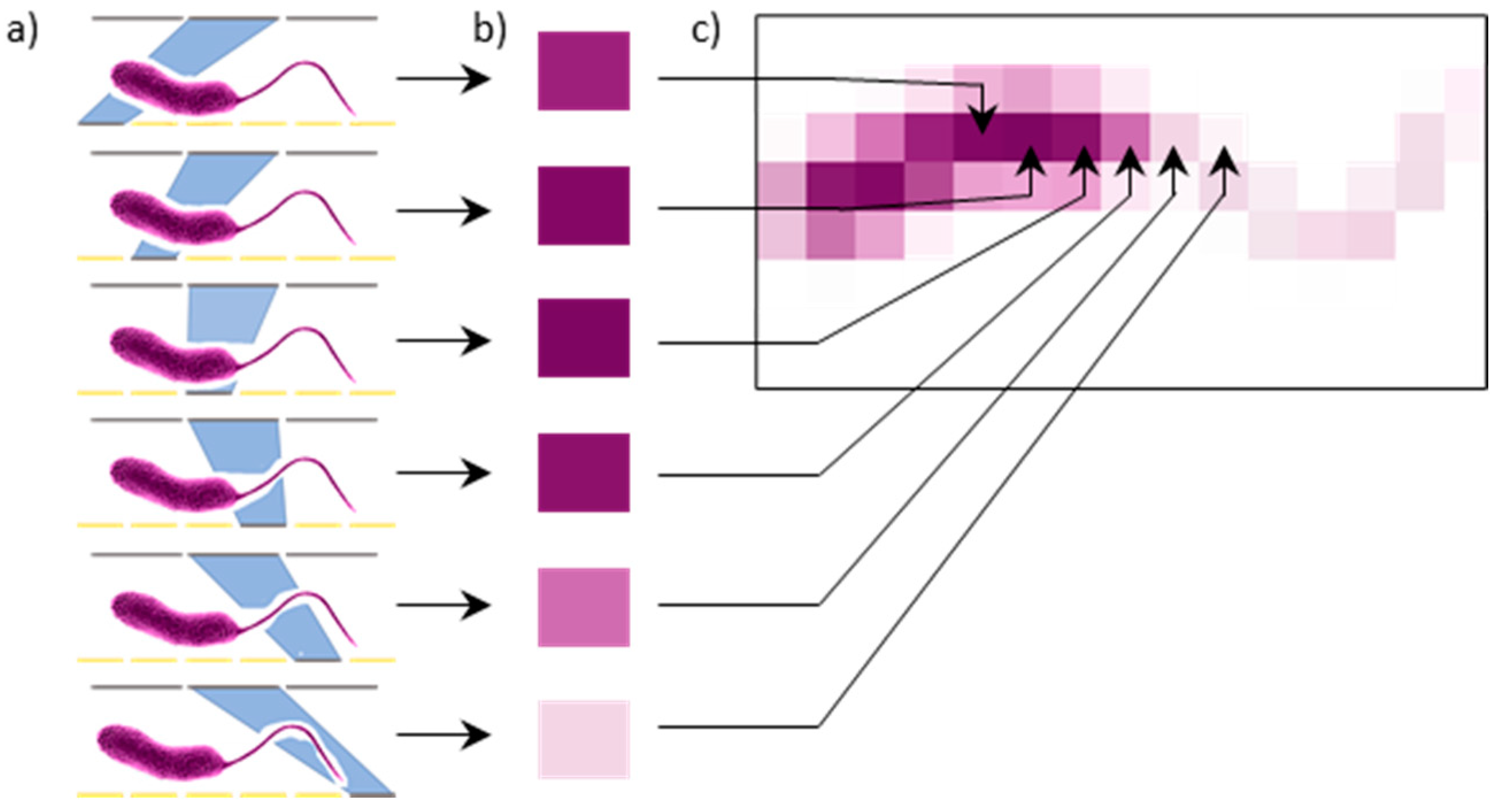 Sensors 21 05941 g001