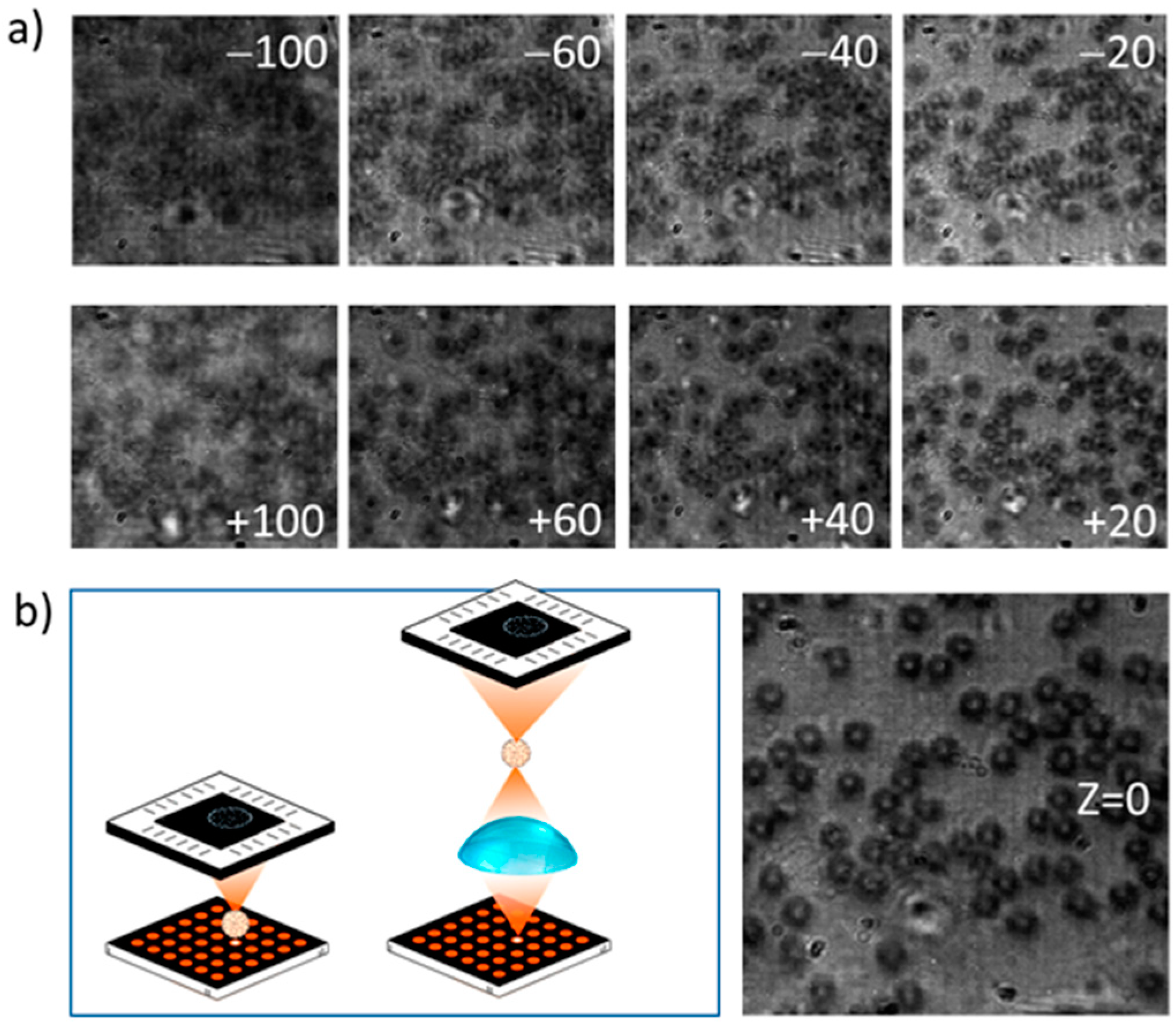 Sensors 21 05941 g008