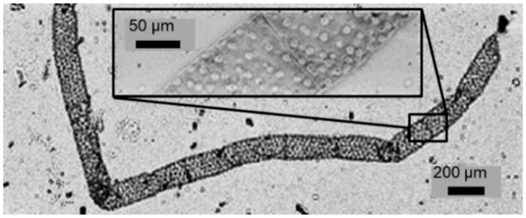 Sensors 21 05941 g009