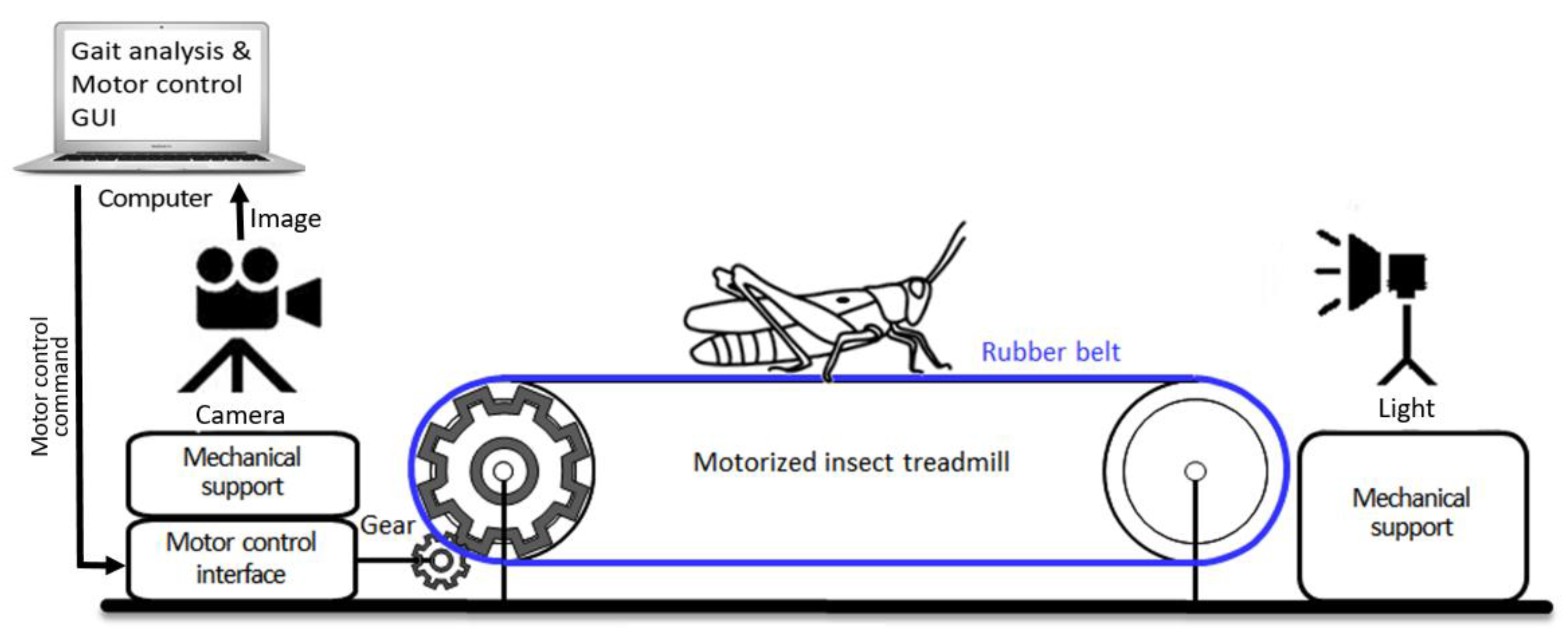 Sensors 21 05953 g001