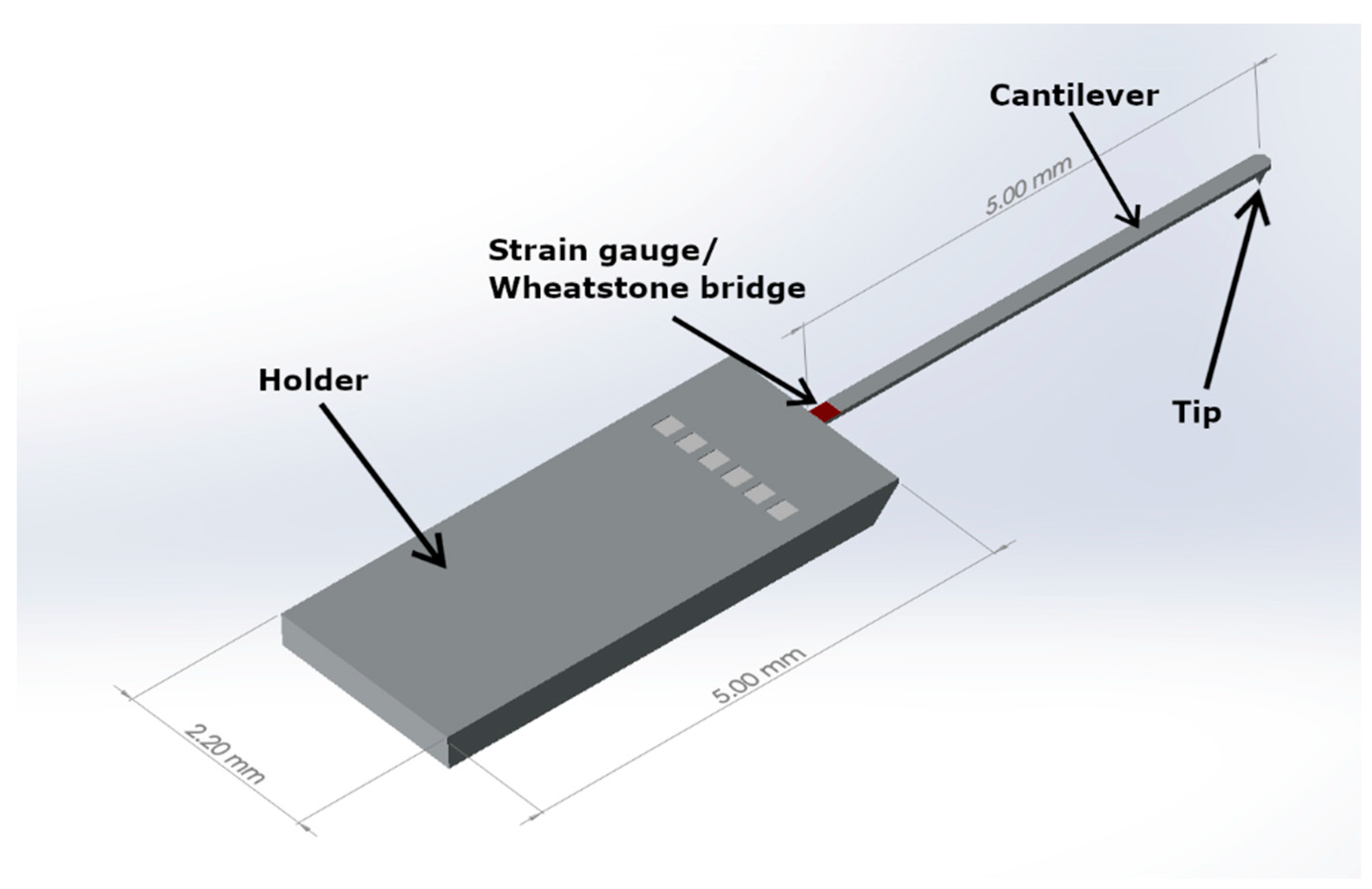 Sensors 21 05955 g001