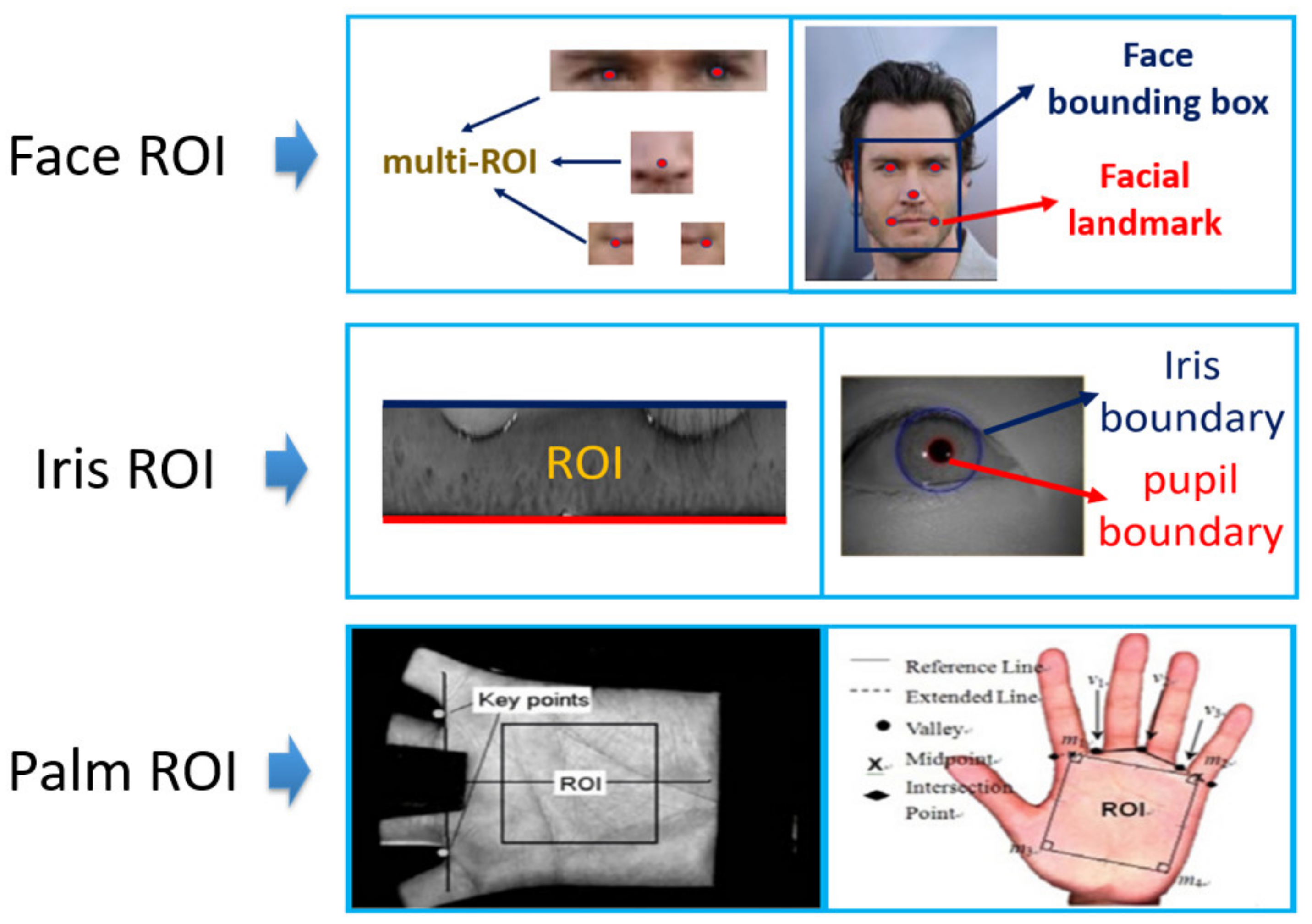Sensors 21 05973 g001