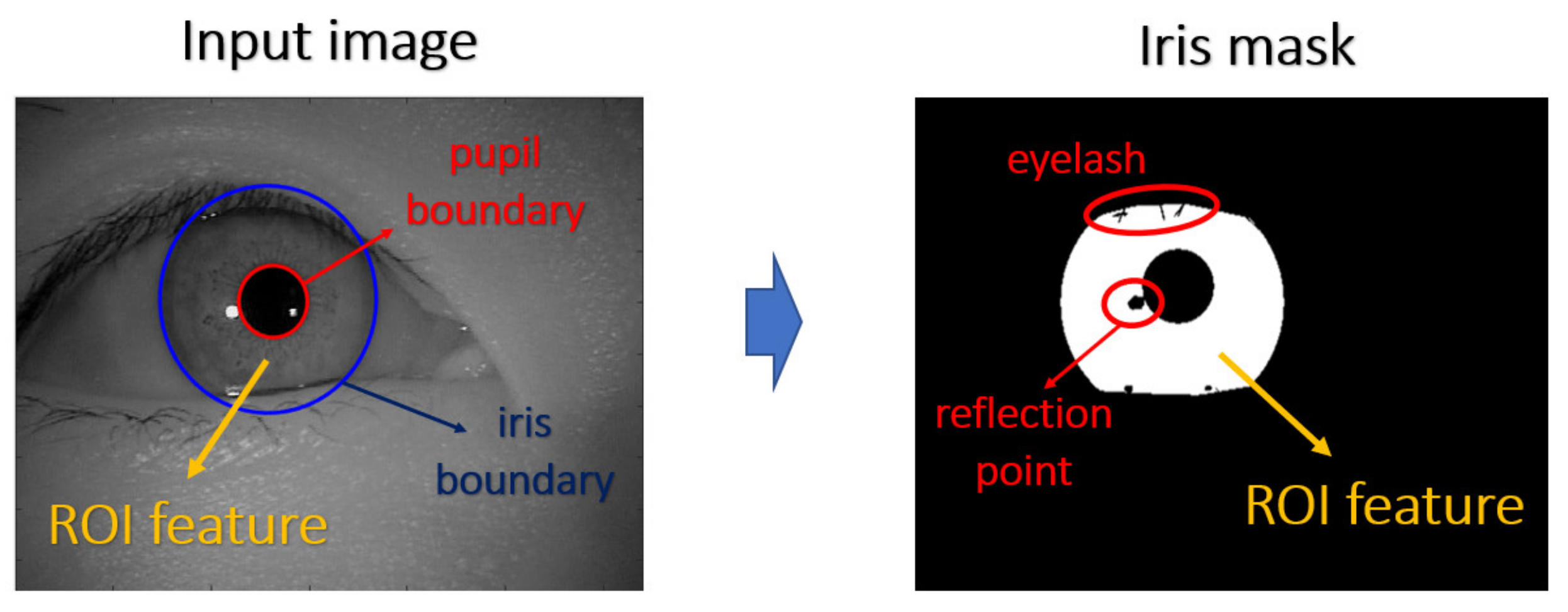 Sensors 21 05973 g003