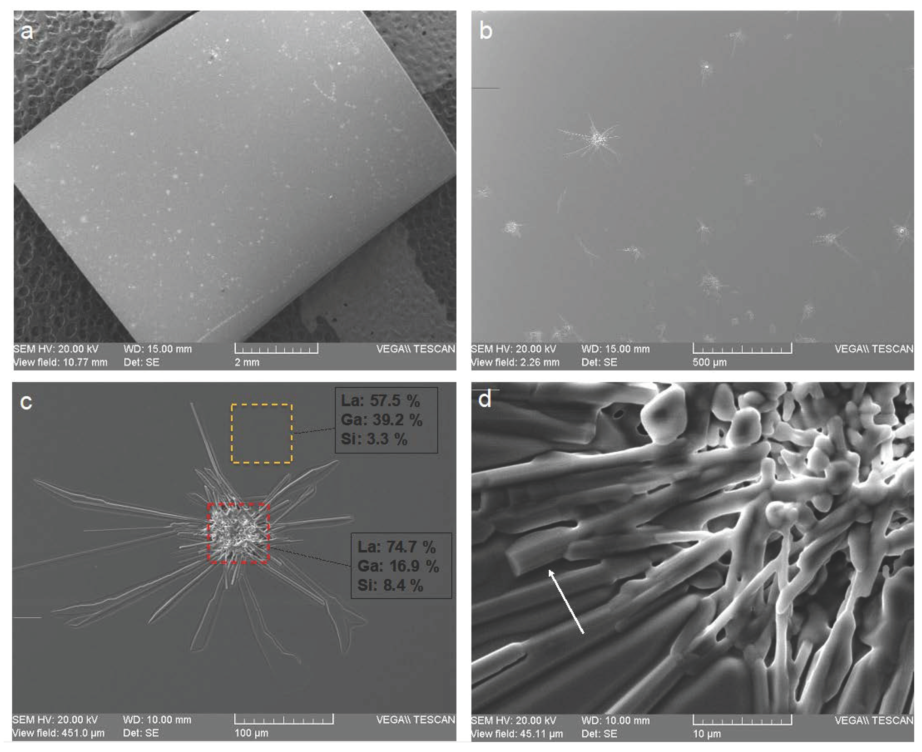 Sensors 21 05978 g003