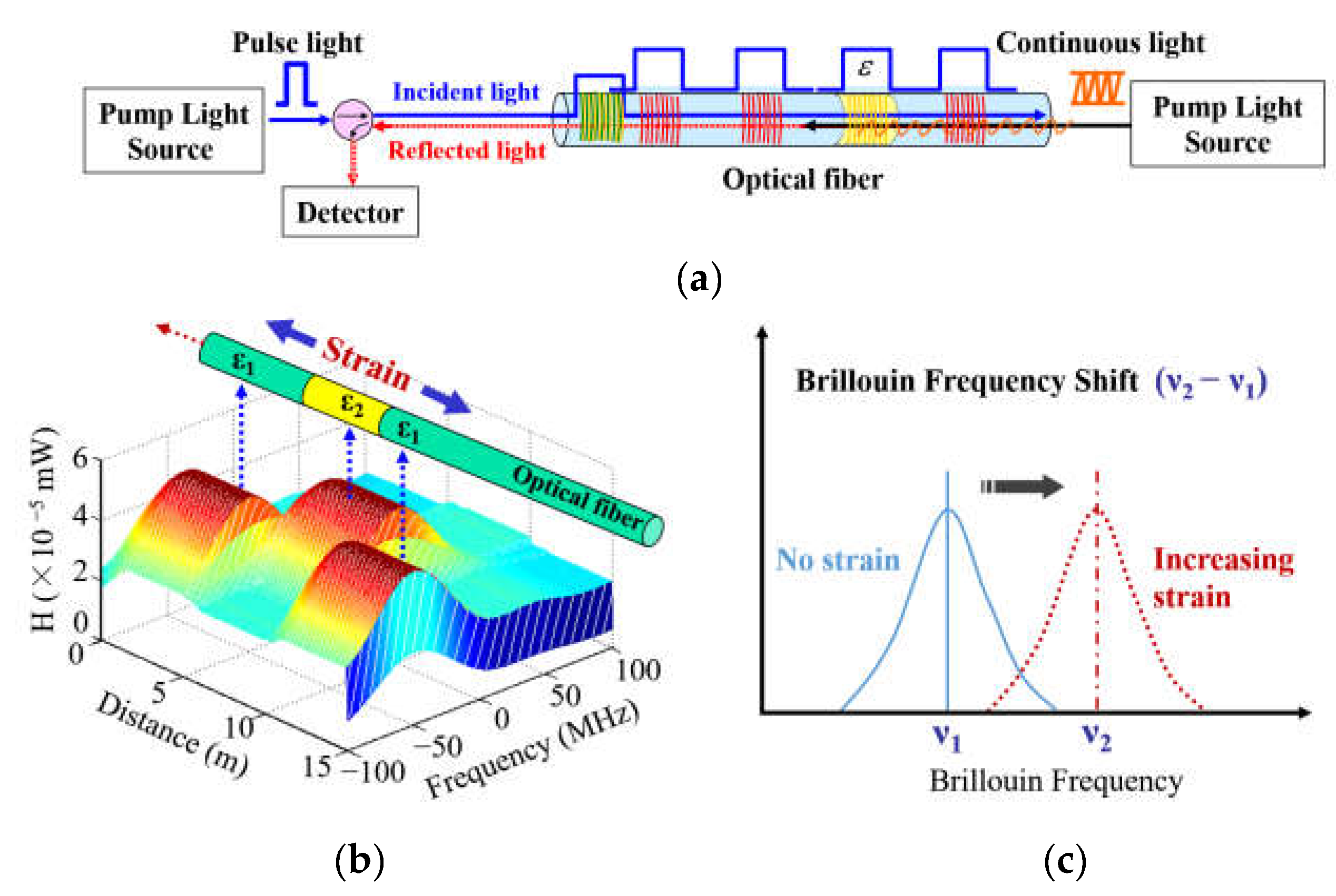 Sensors 21 05985 g001
