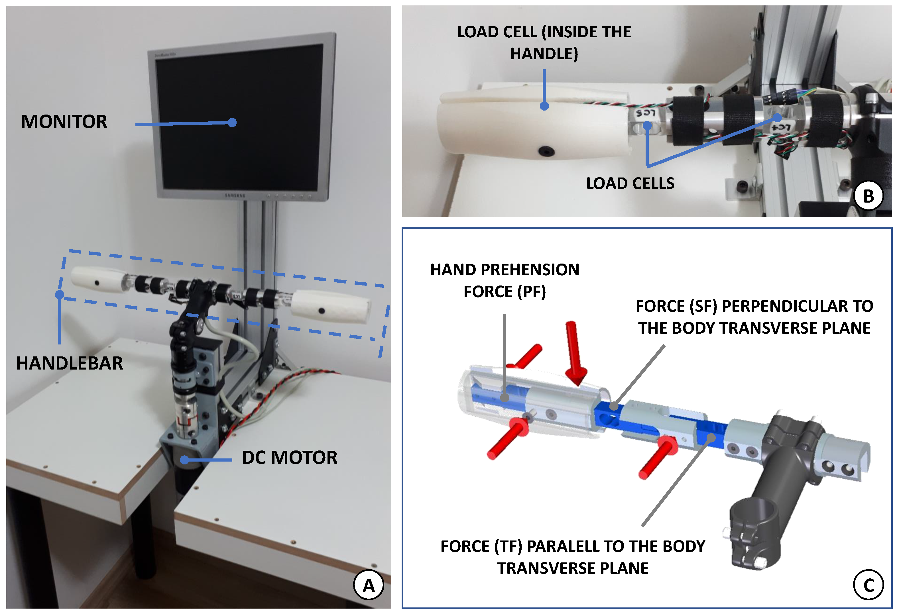 Sensors 21 05991 g001
