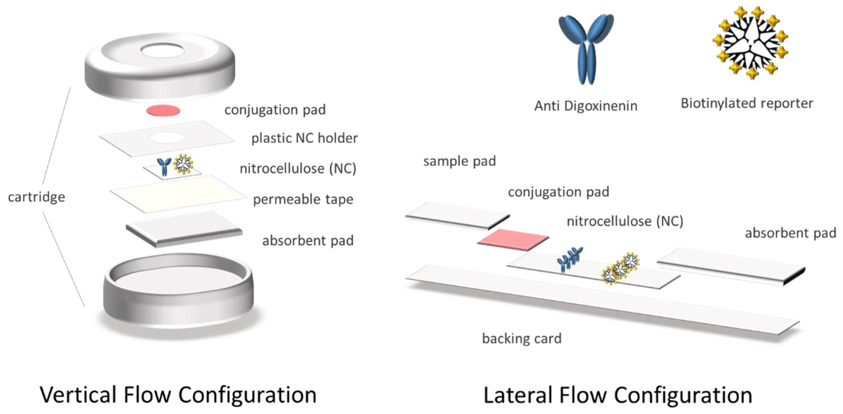 Sensors 21 05992 g001