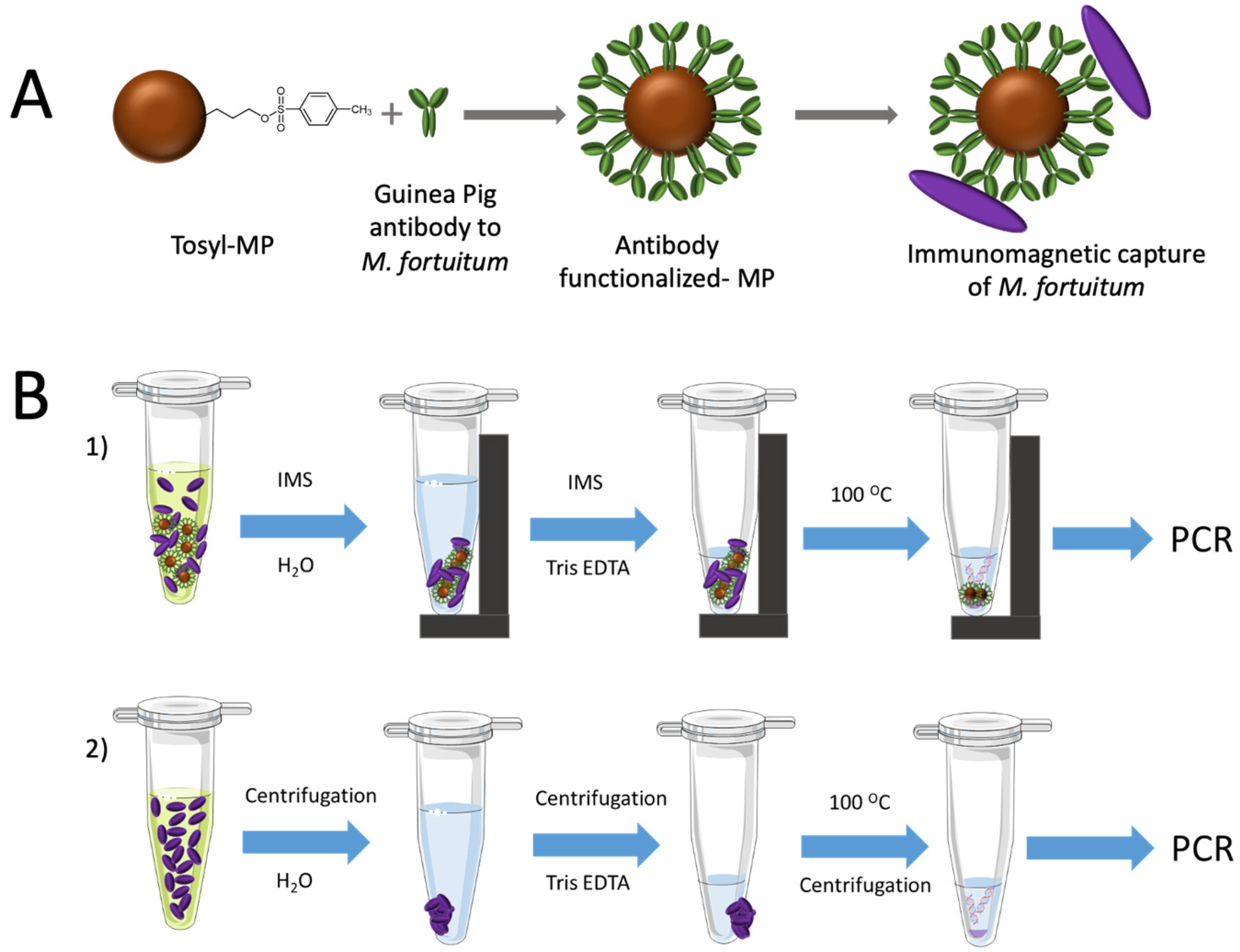 Sensors 21 05992 g002
