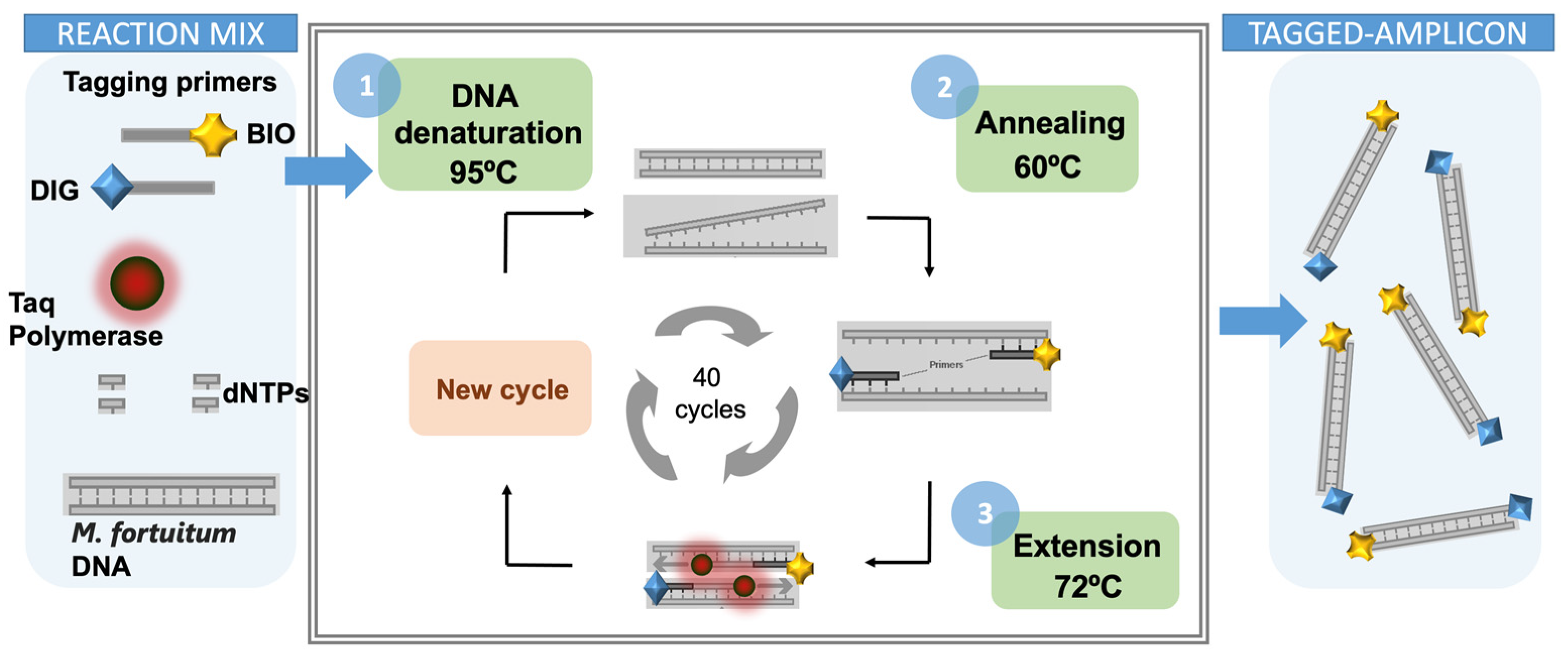 Sensors 21 05992 g003