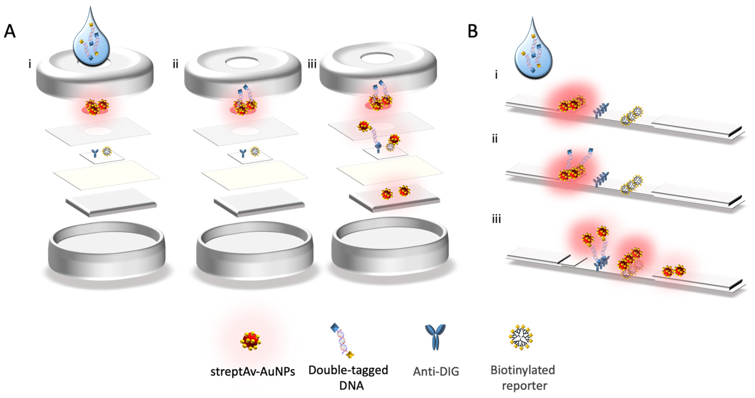 Sensors 21 05992 g004