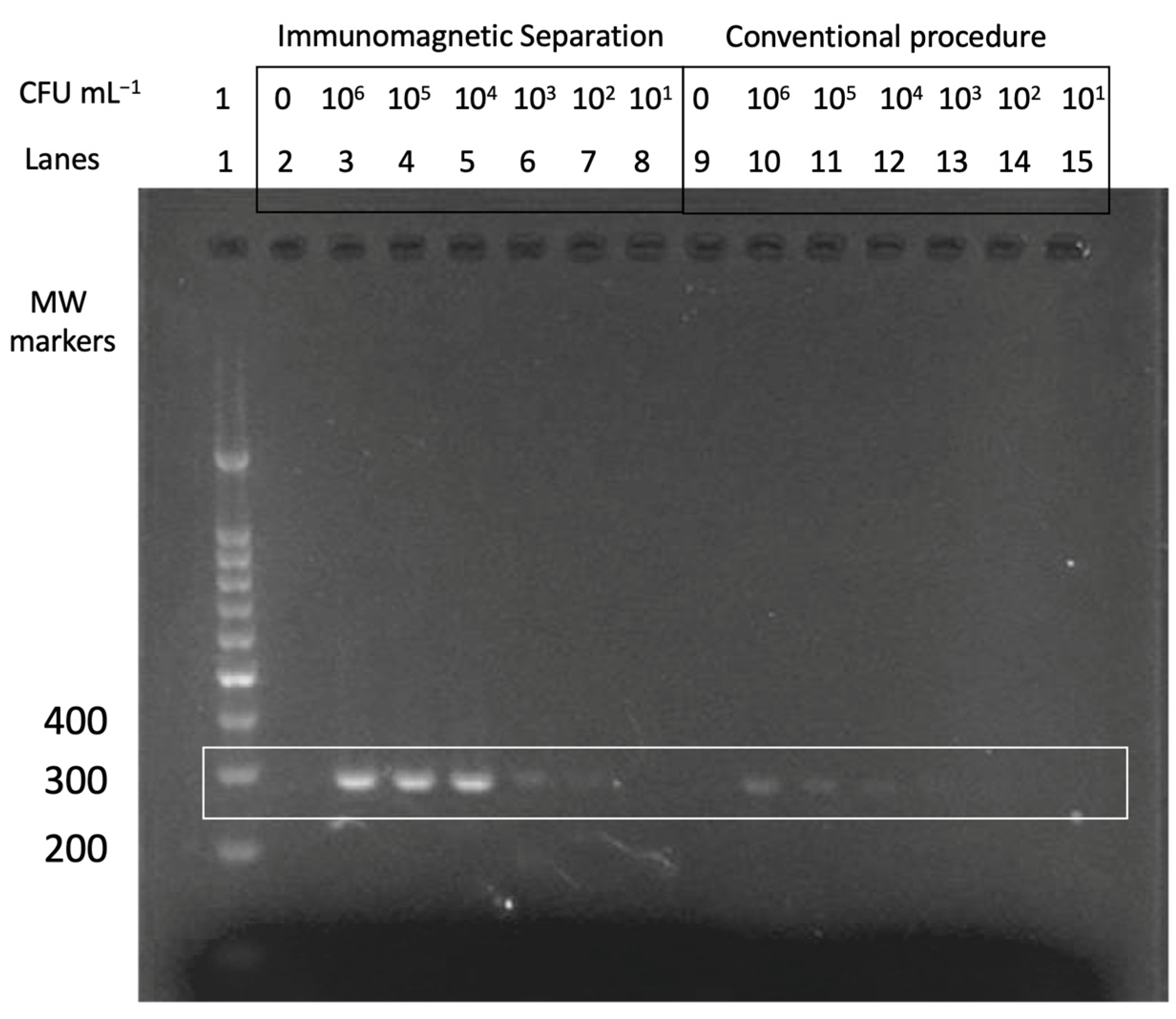 Sensors 21 05992 g005