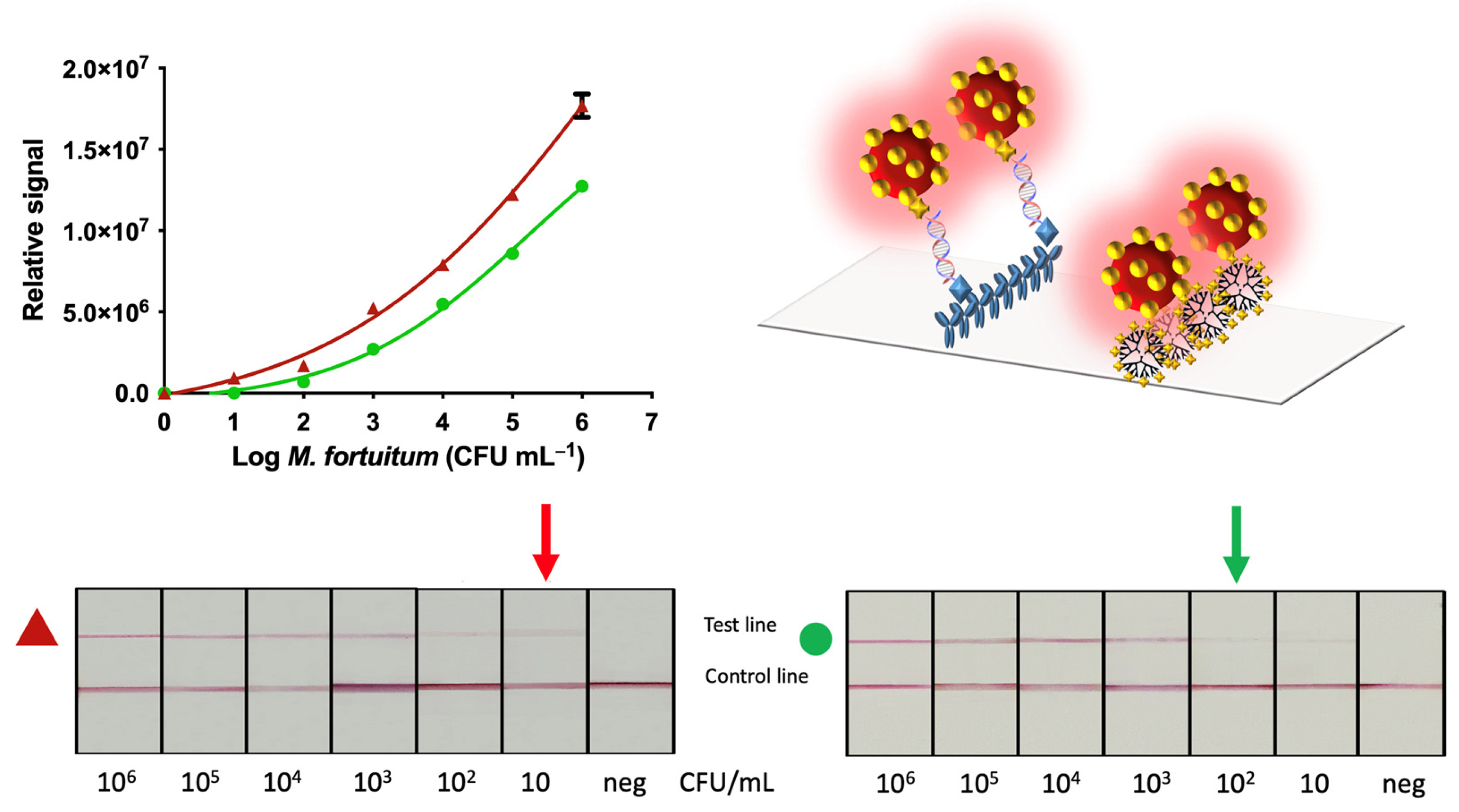 Sensors 21 05992 g007
