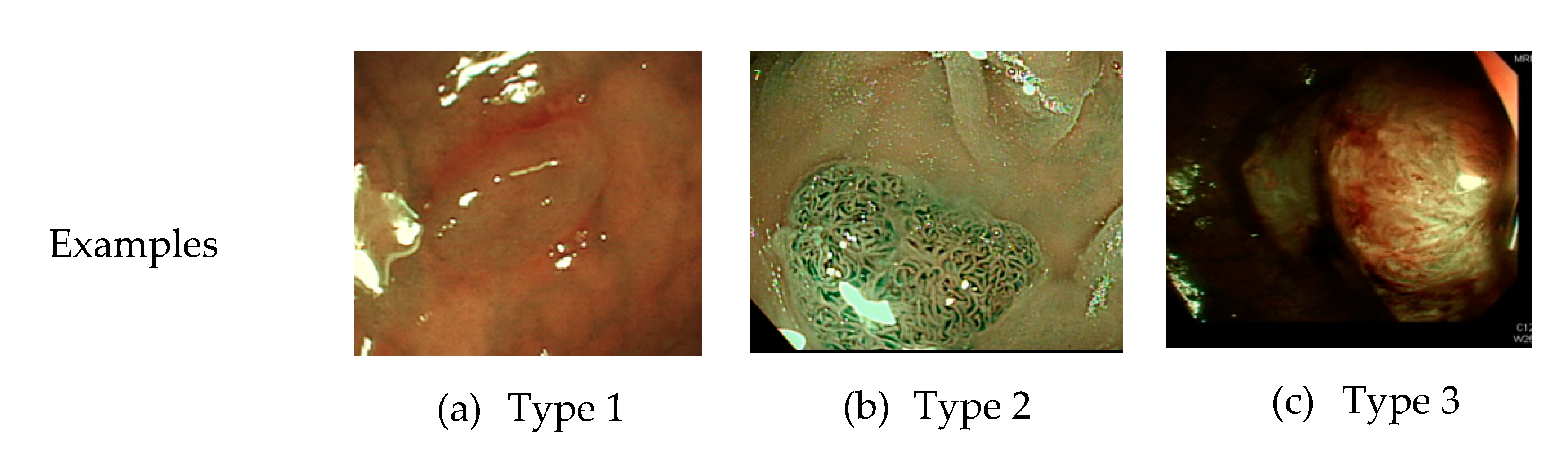 Sensors 21 05995 g001 Sensors 21 05995 g001