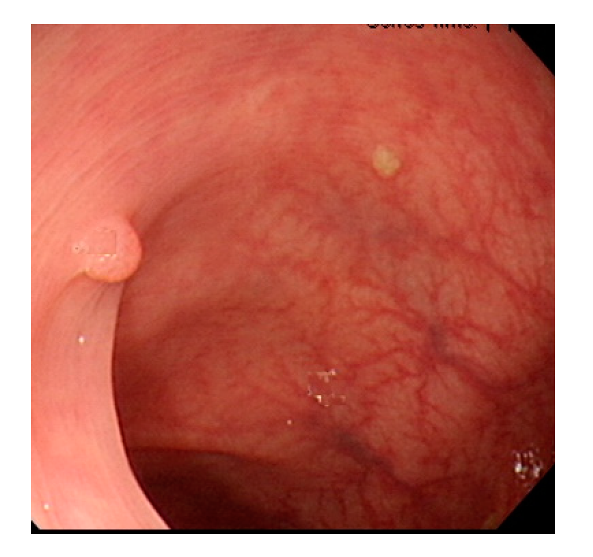 Sensors 21 05995 g002 Sensors 21 05995 g002