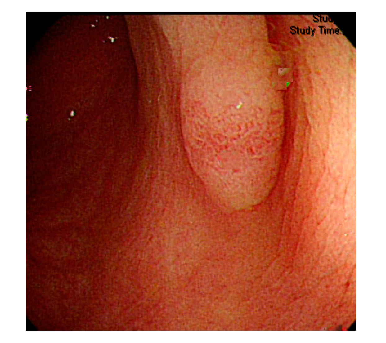 Sensors 21 05995 g003 Sensors 21 05995 g003