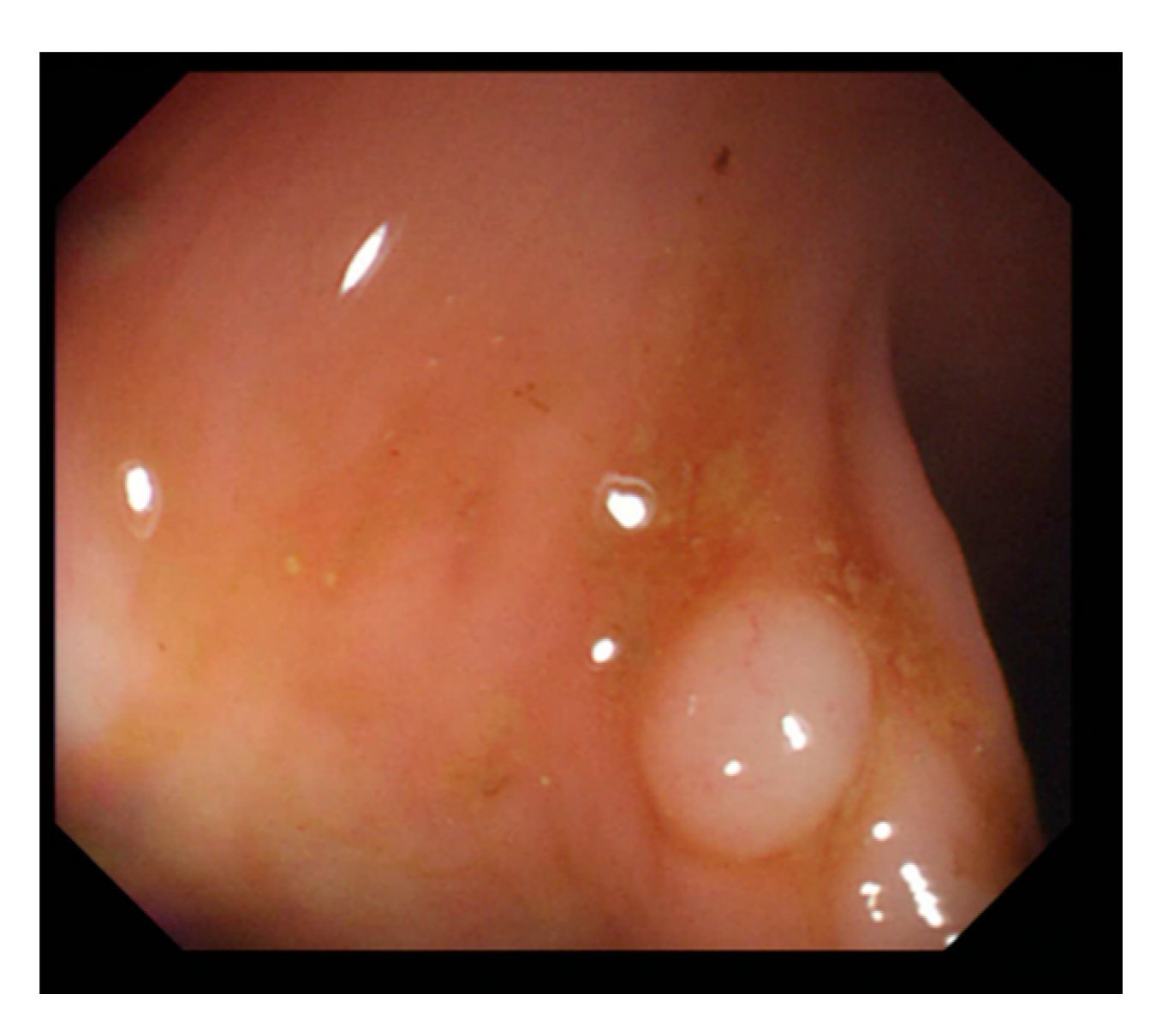 Sensors 21 05995 g004 Sensors 21 05995 g004