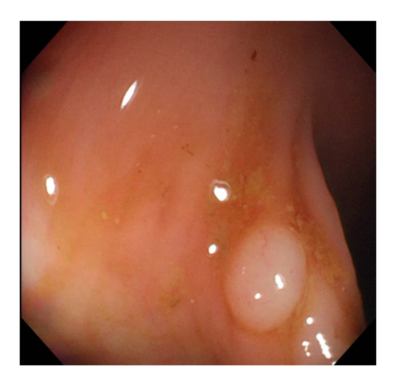 Sensors 21 05995 g007 Sensors 21 05995 g007