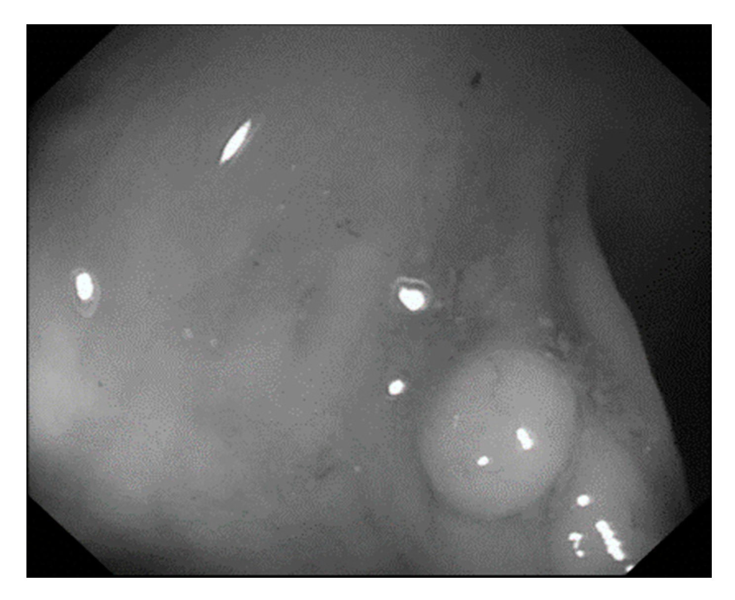 Sensors 21 05995 g008 Sensors 21 05995 g008