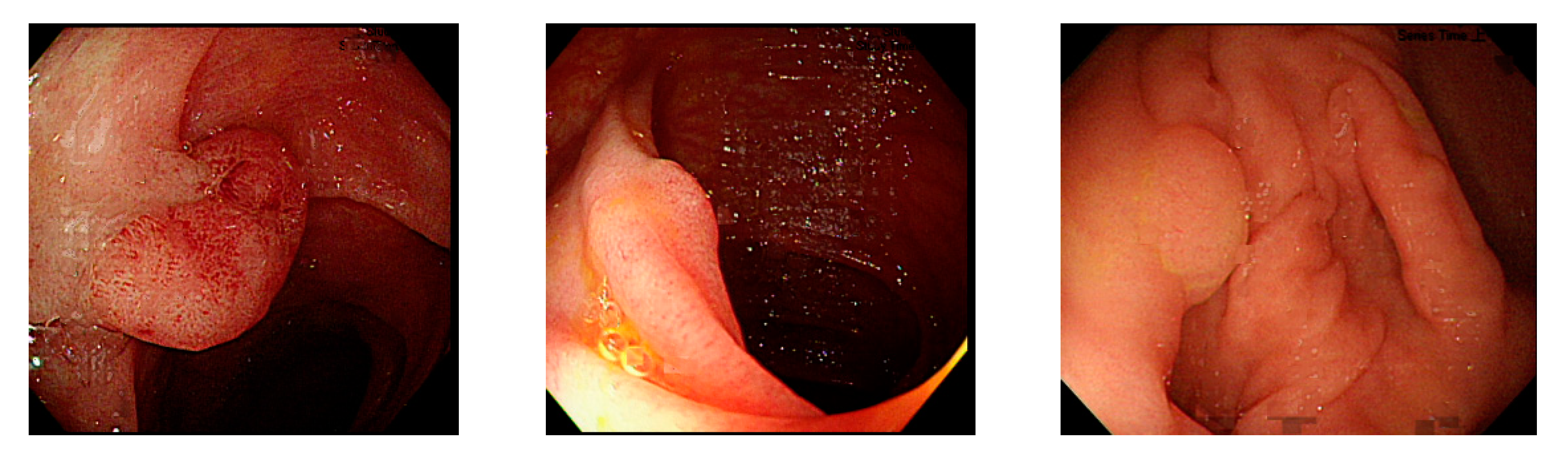 Sensors 21 05995 g014 Sensors 21 05995 g014