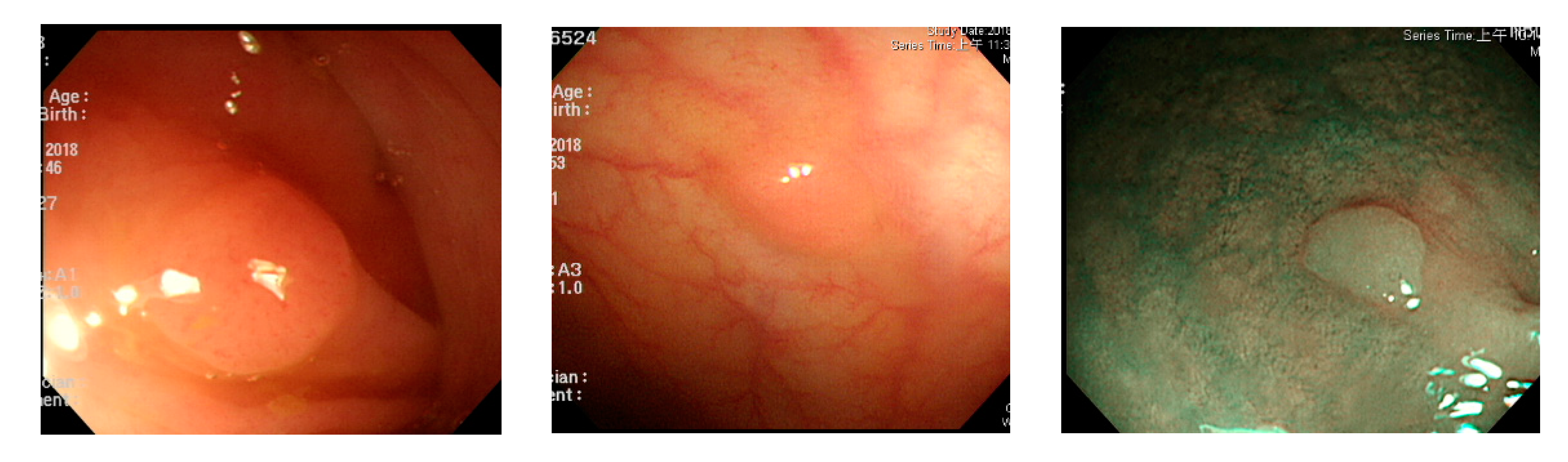 Sensors 21 05995 g016 Sensors 21 05995 g016