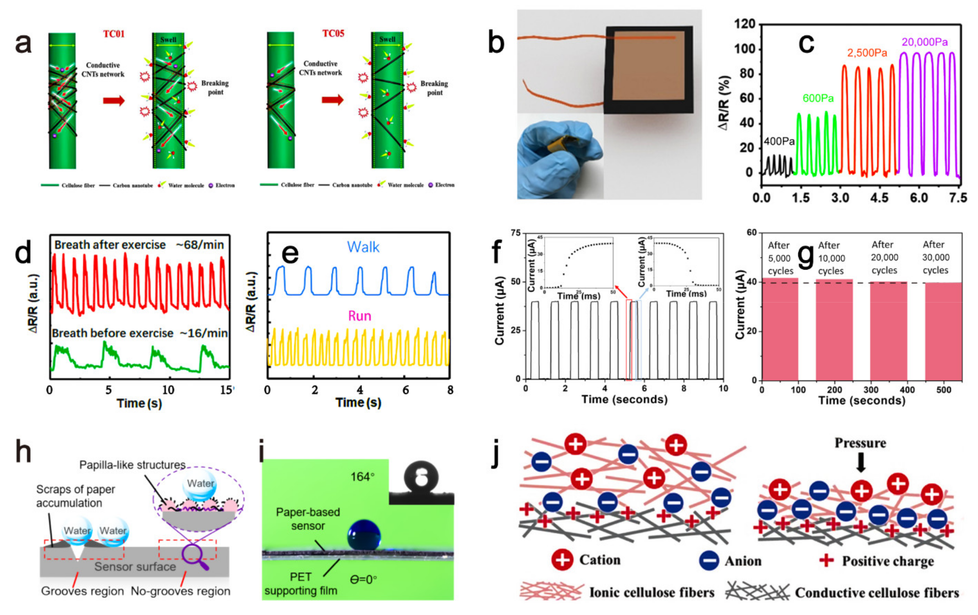 Sensors 21 05998 g002